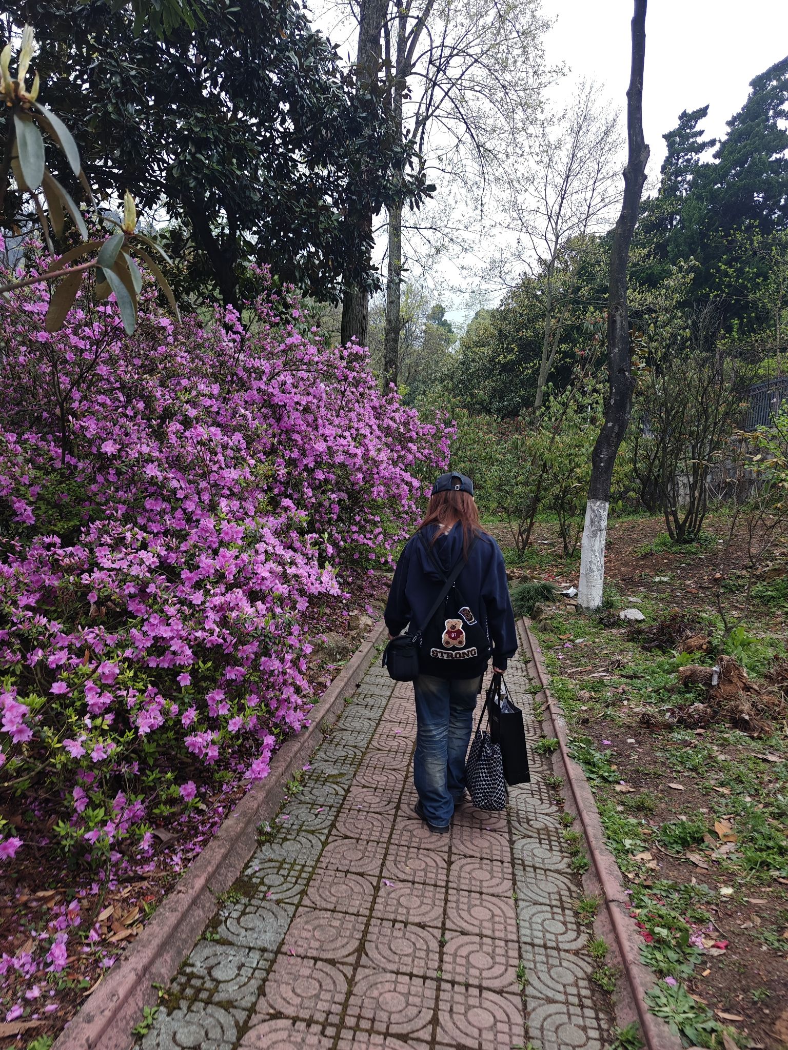 贵州省植物园旅行图片 1