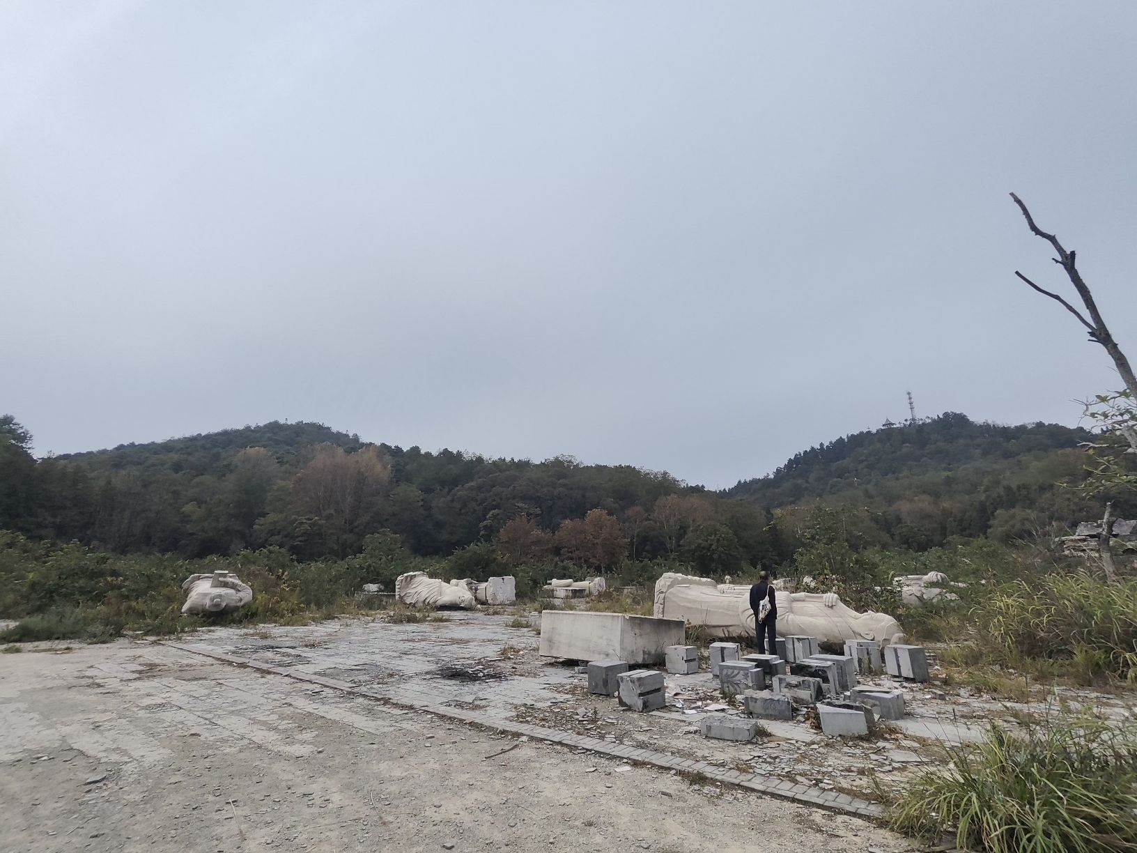 贵州省植物园旅行图片 3