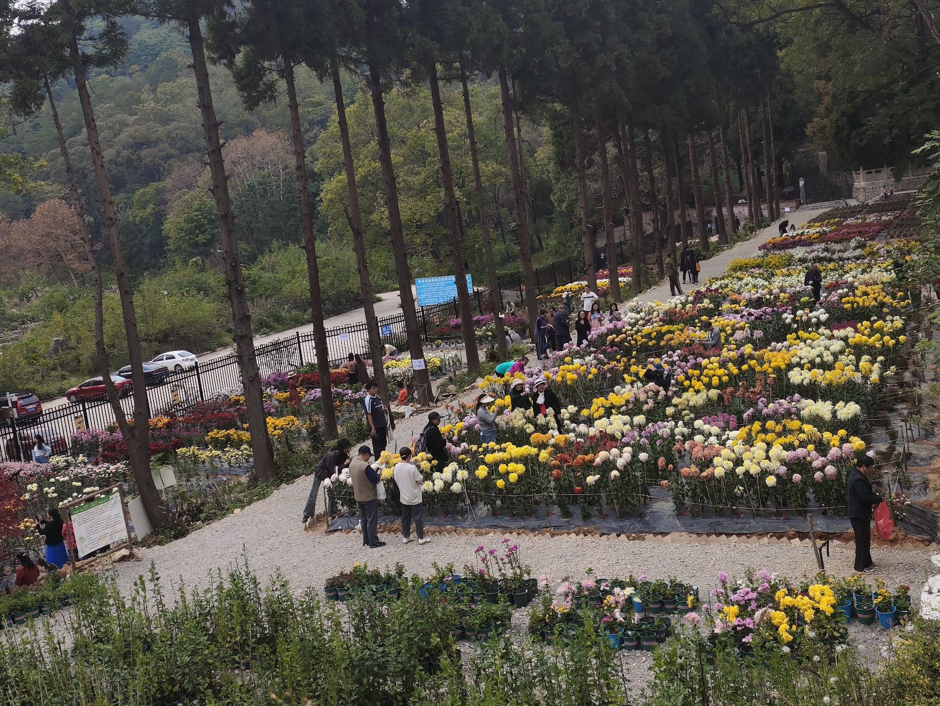 贵州省植物园旅行图片 1