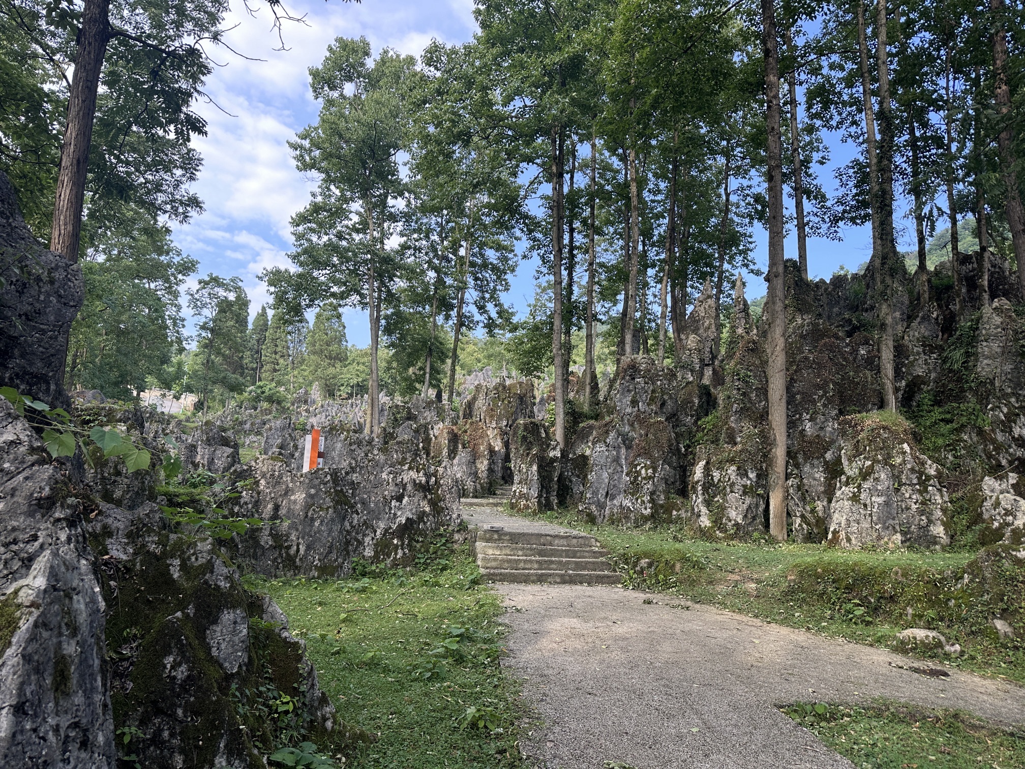 绿色石林旅行图片 3