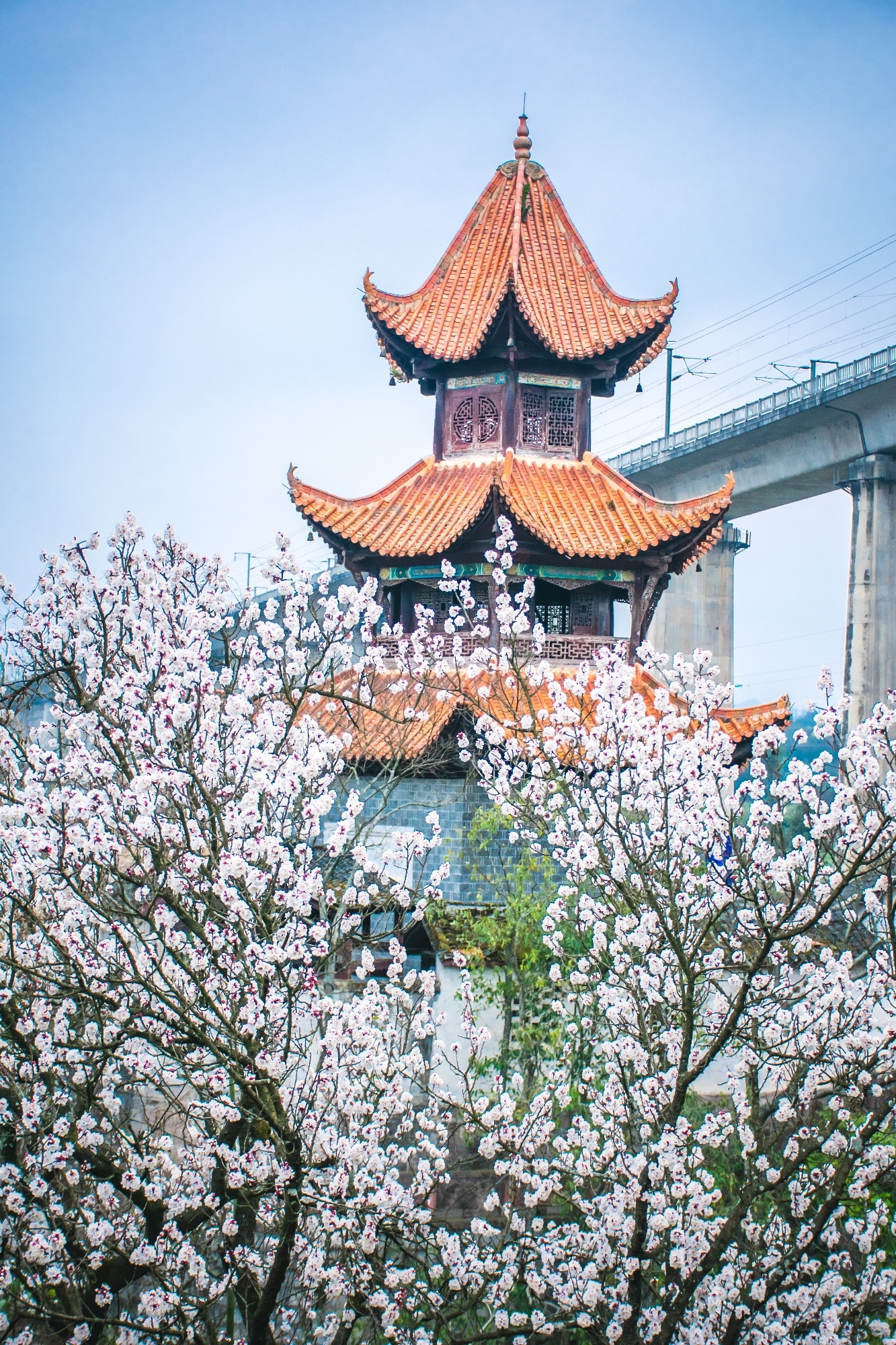 来仙阁旅行图片 1