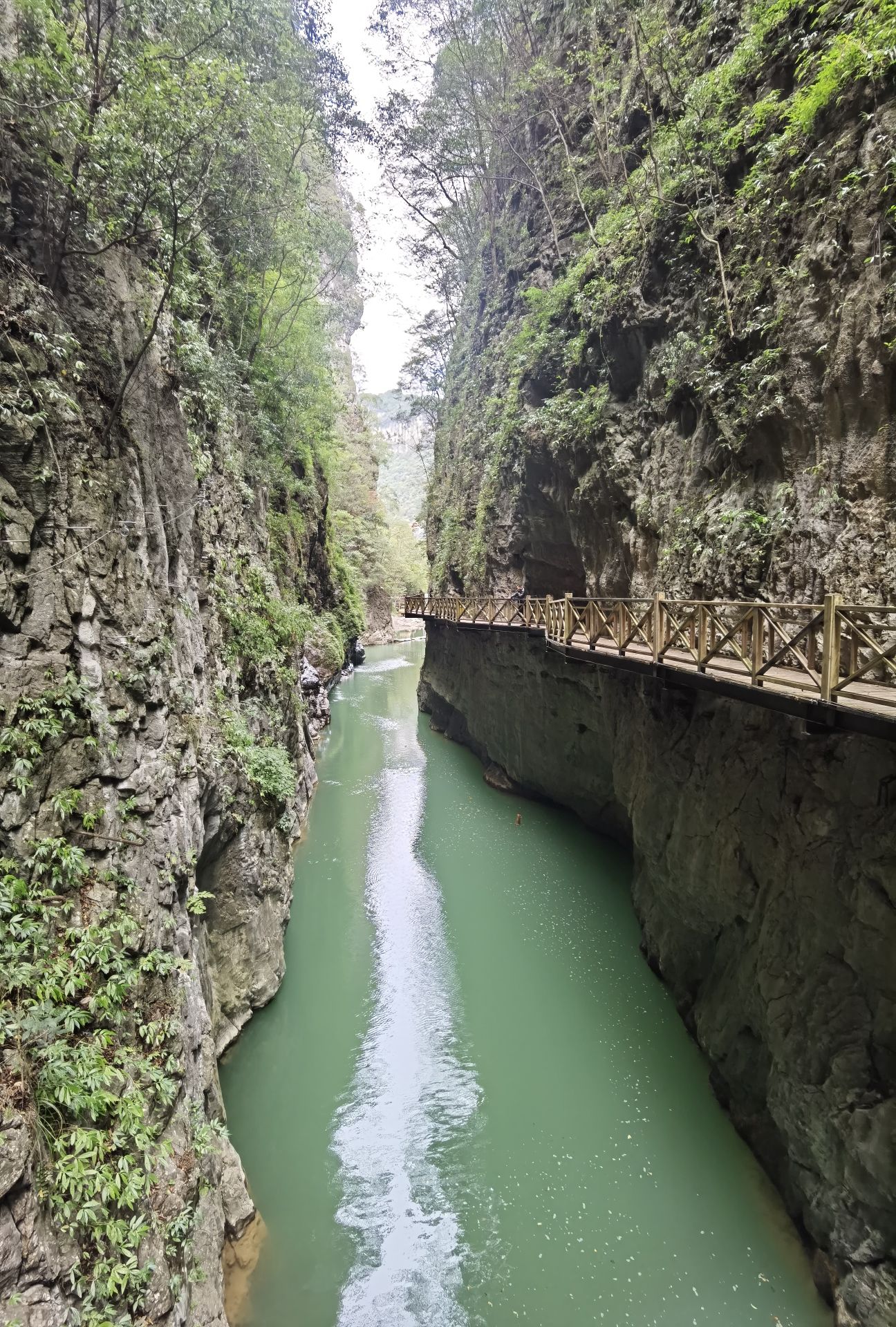 南江大峡谷景区旅行图片 1