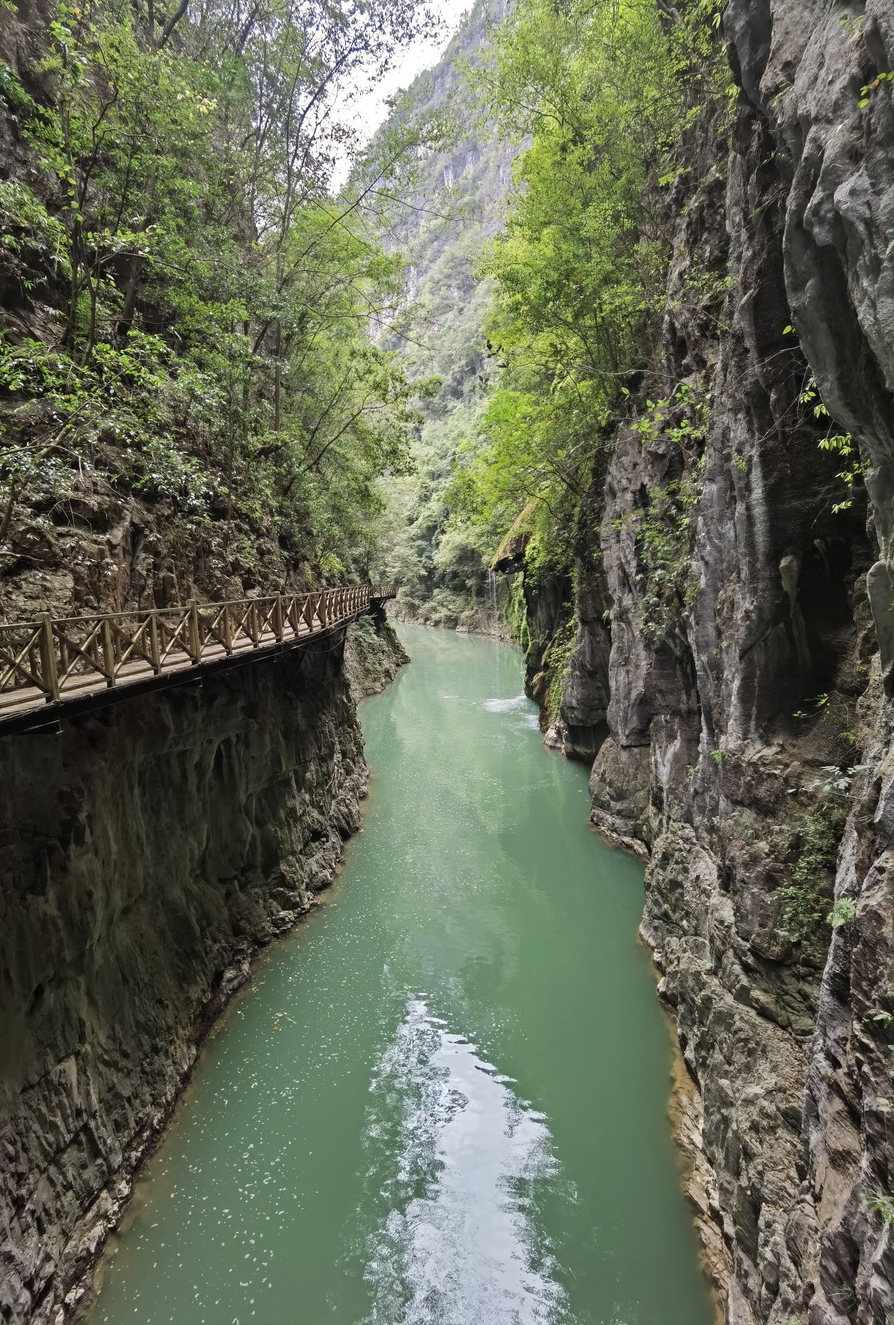 南江大峡谷景区旅行图片 2