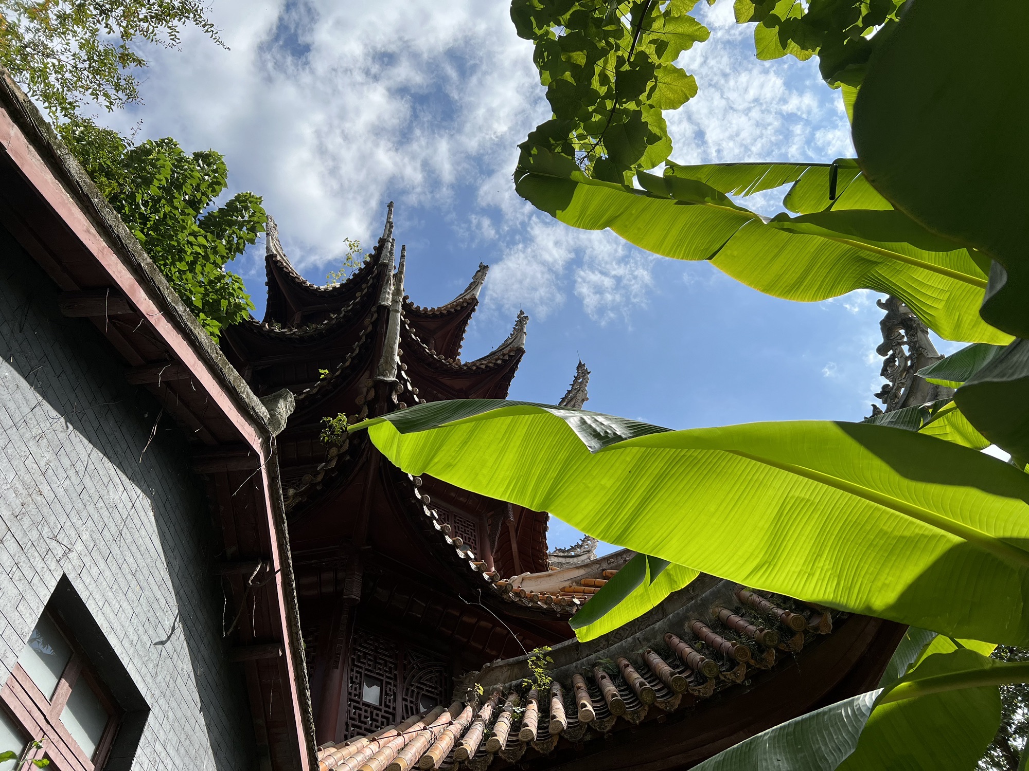 达德学校旧址旅行图片 2