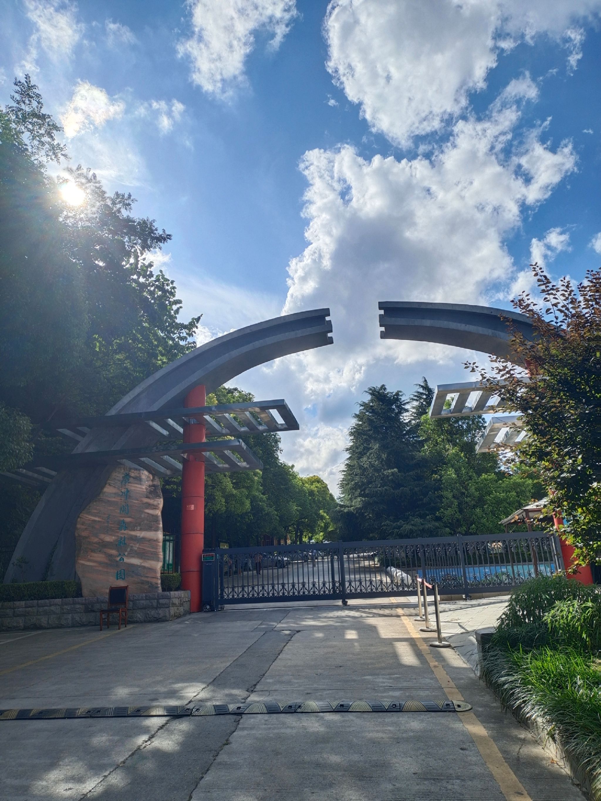鹿冲关森林公园旅行图片 1