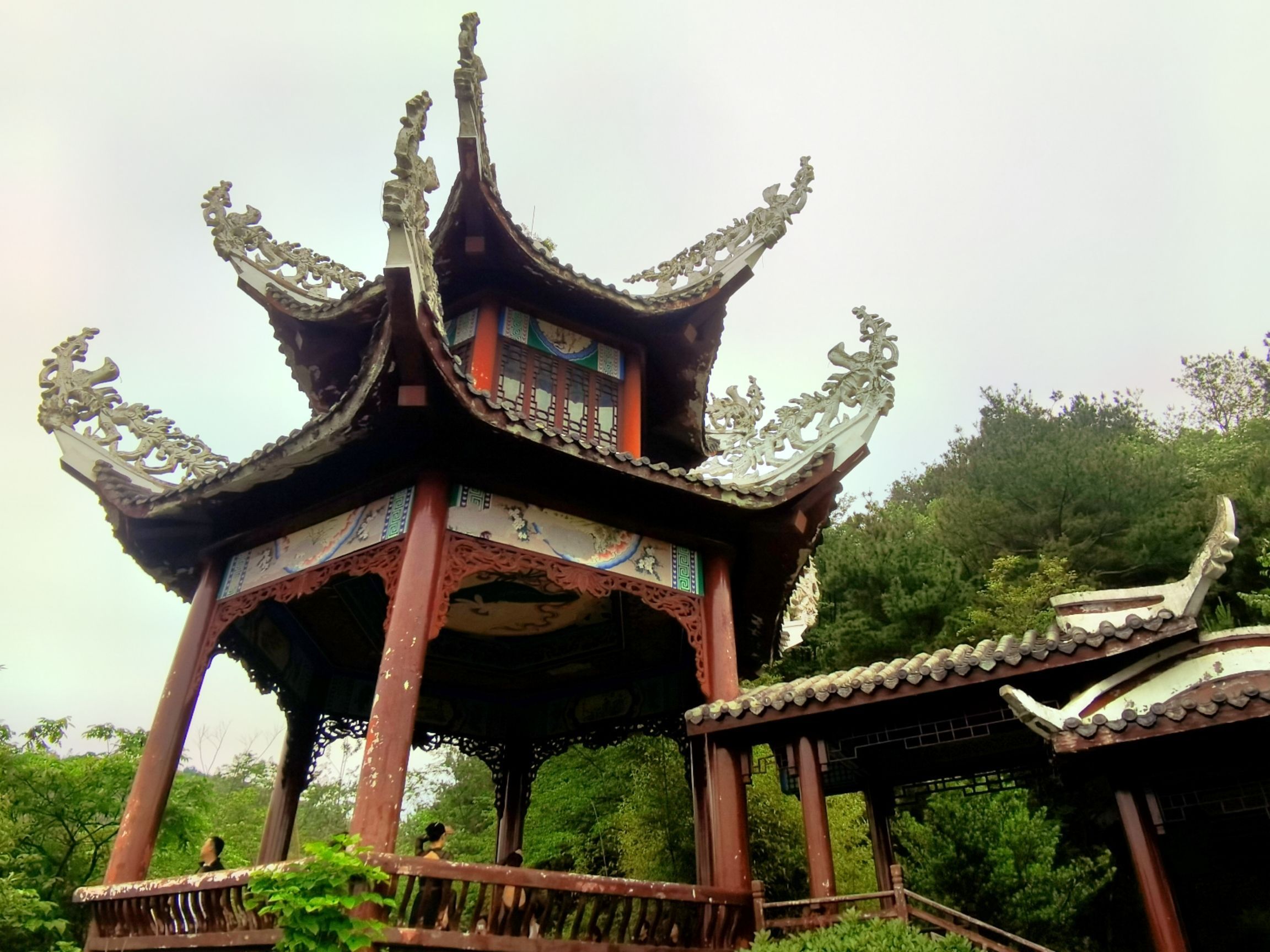 鹿冲关森林公园旅行图片 1