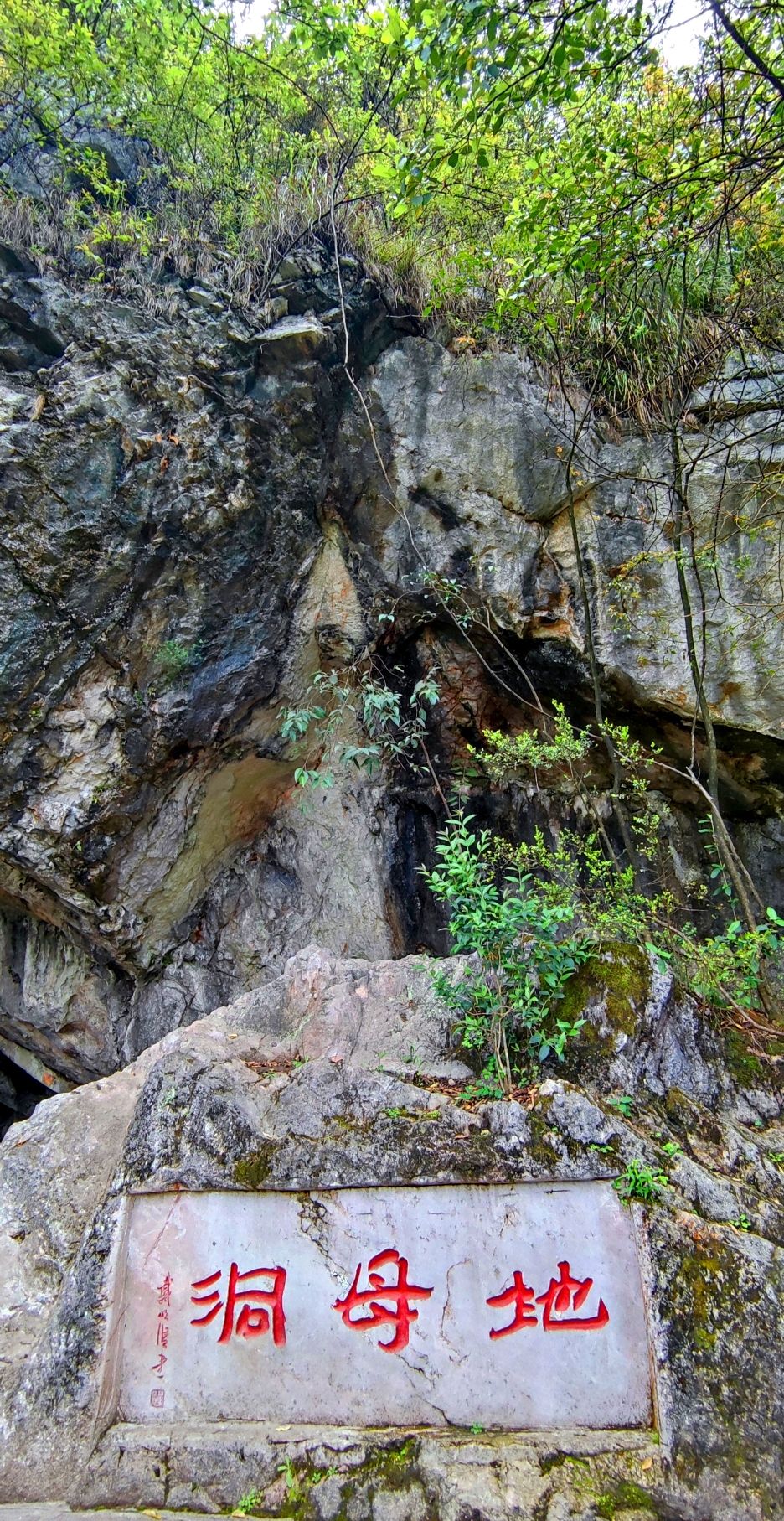 鹿冲关森林公园旅行图片 3
