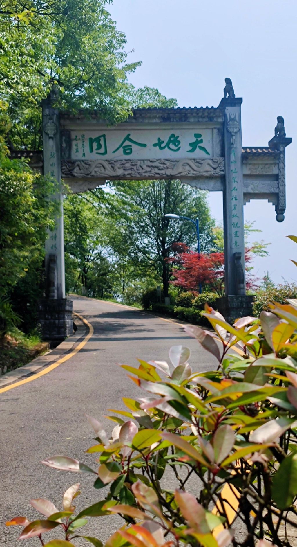鹿冲关森林公园旅行图片 1