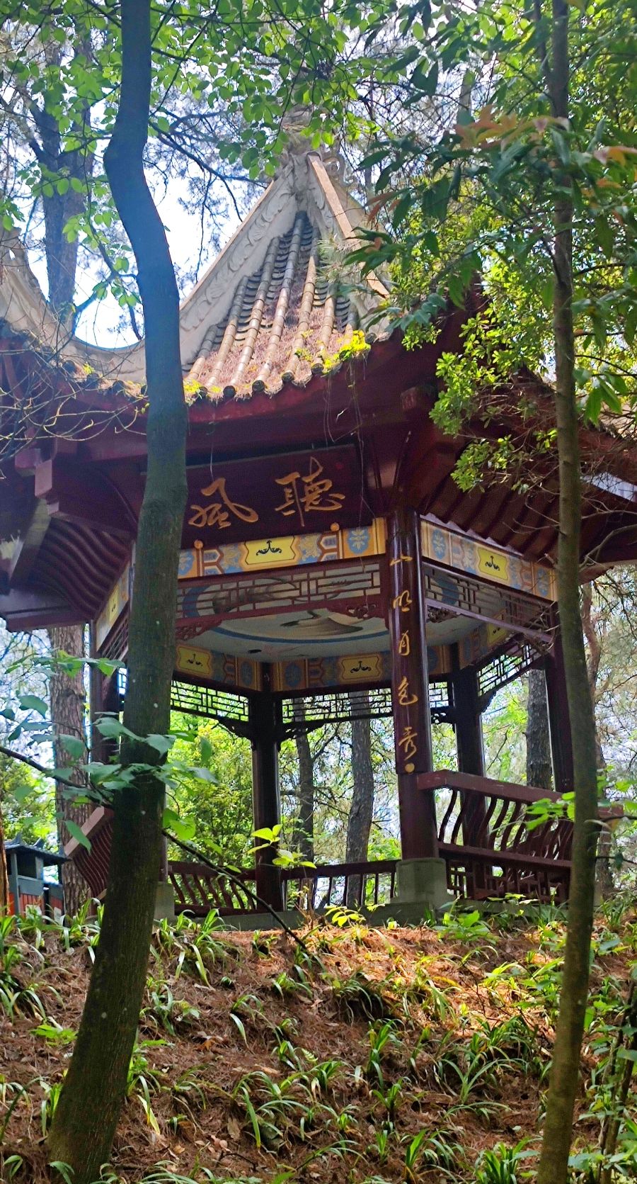 鹿冲关森林公园旅行图片 2