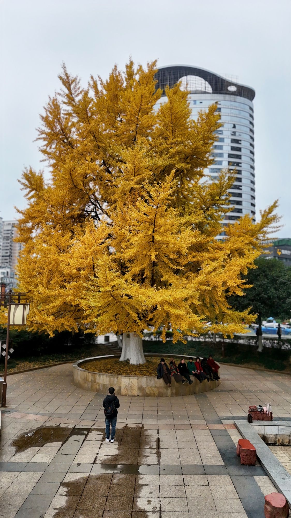 甲秀广场旅行图片 3