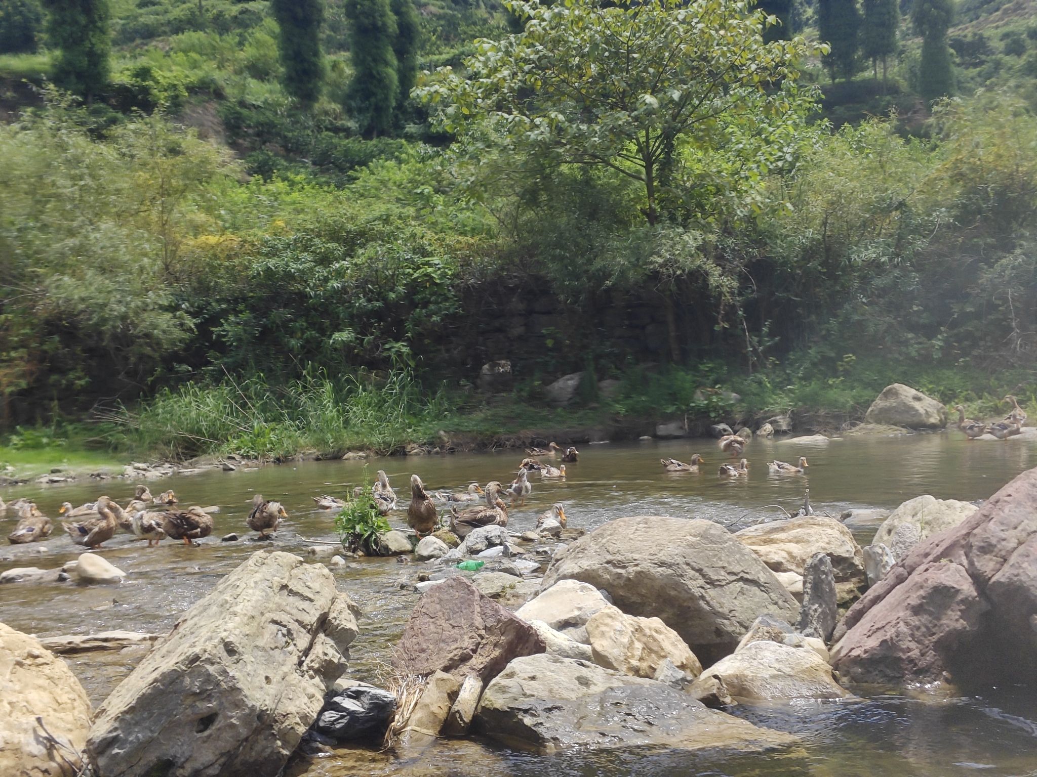 桃源河景区旅行图片 1