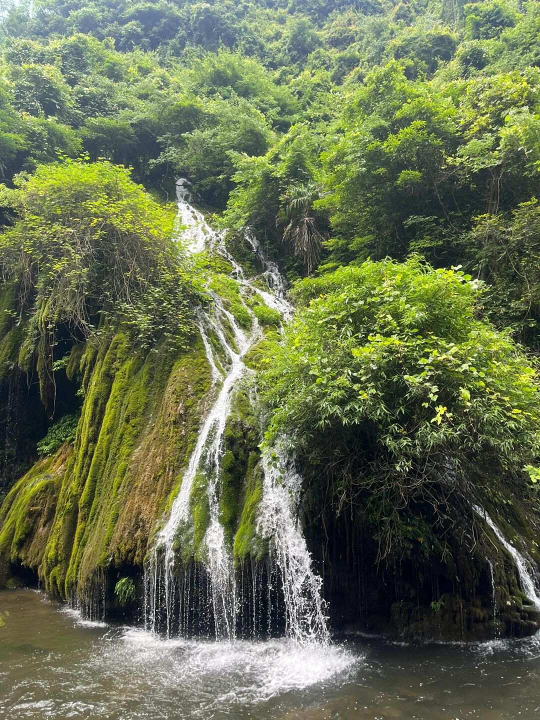 桃源河景区旅行图片 3