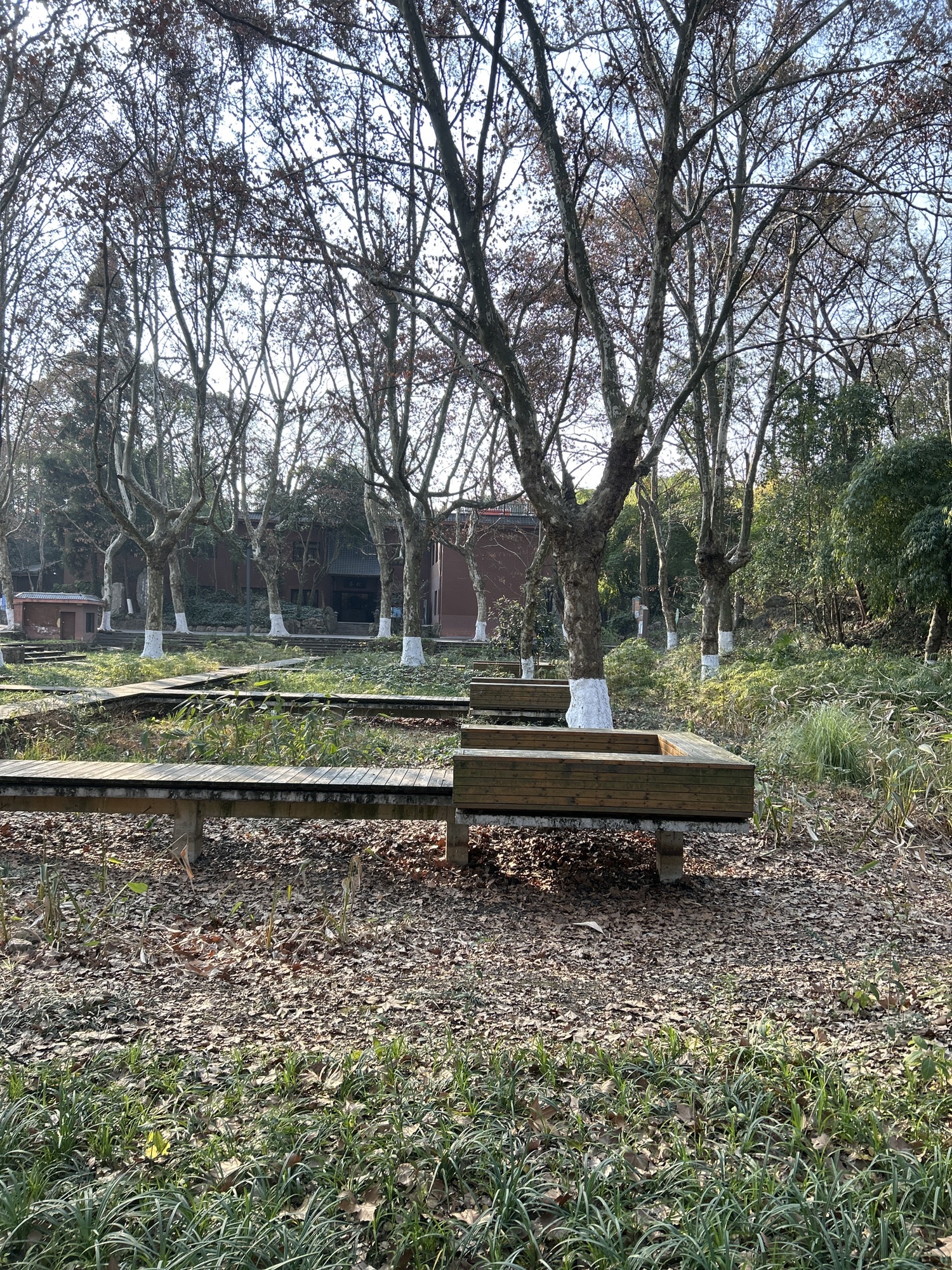 花溪十里河滩国家城市湿地公园旅行图片 2