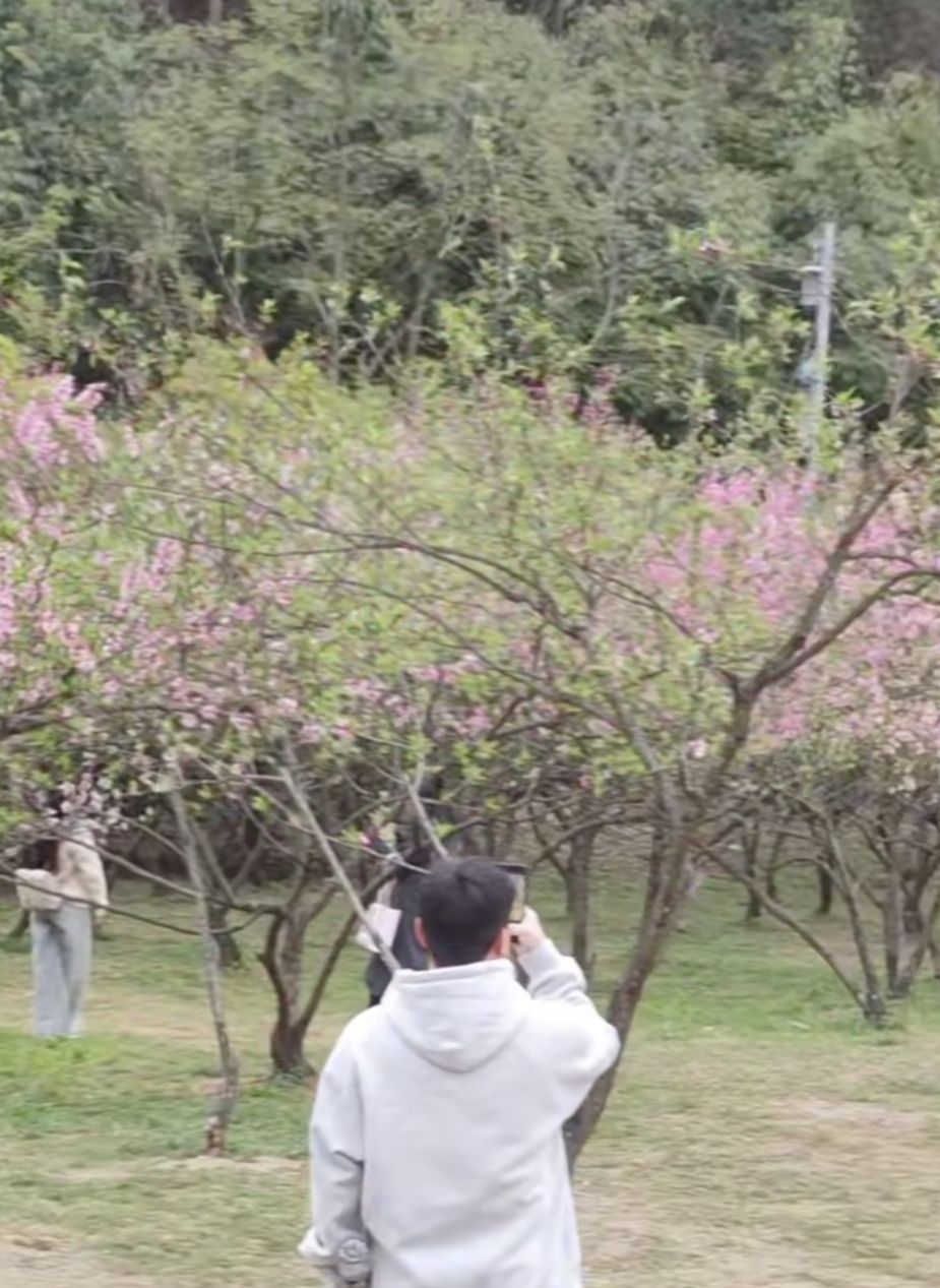 花溪十里河滩国家城市湿地公园旅行图片 1