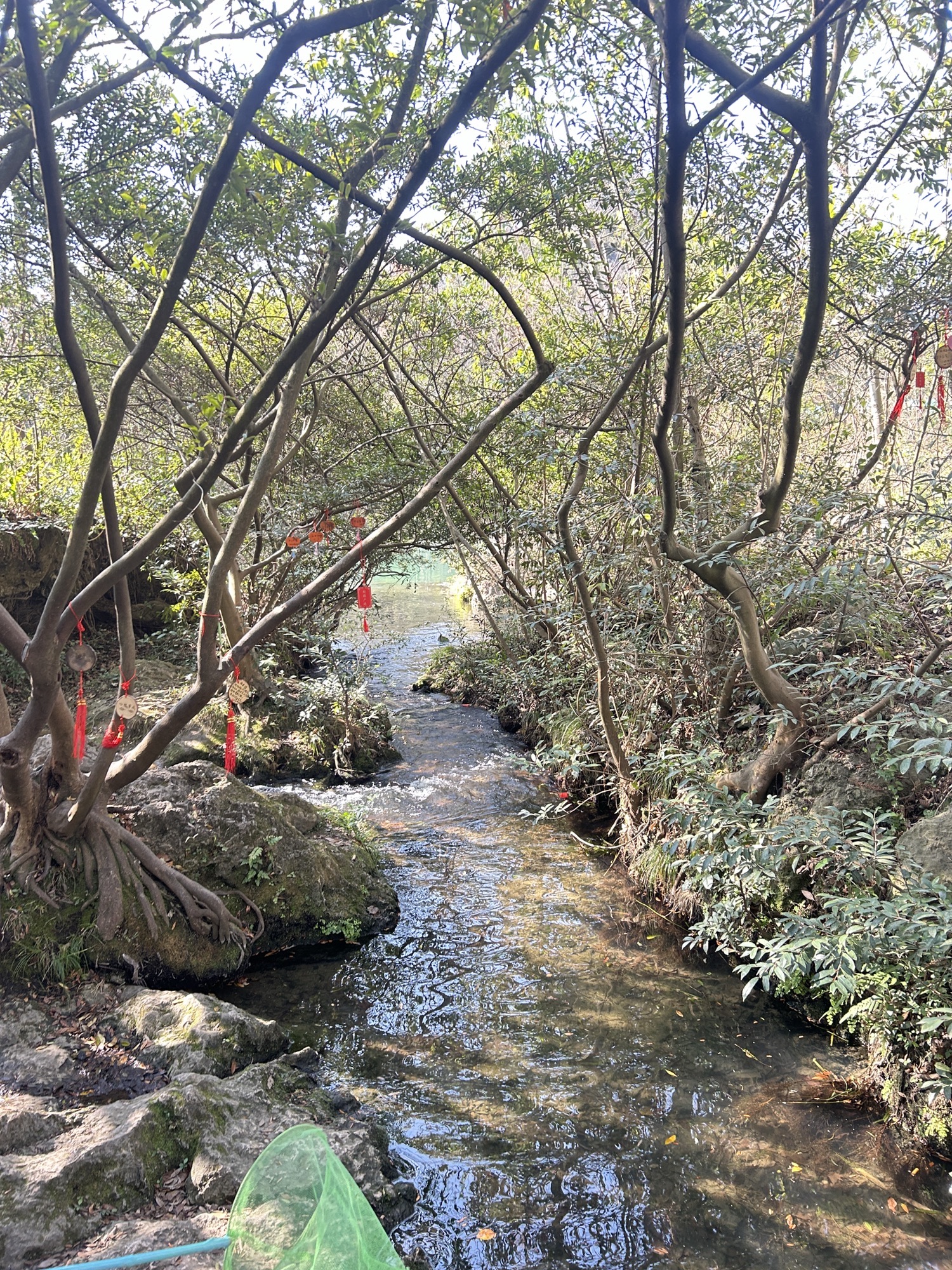 花溪十里河滩国家城市湿地公园旅行图片 1