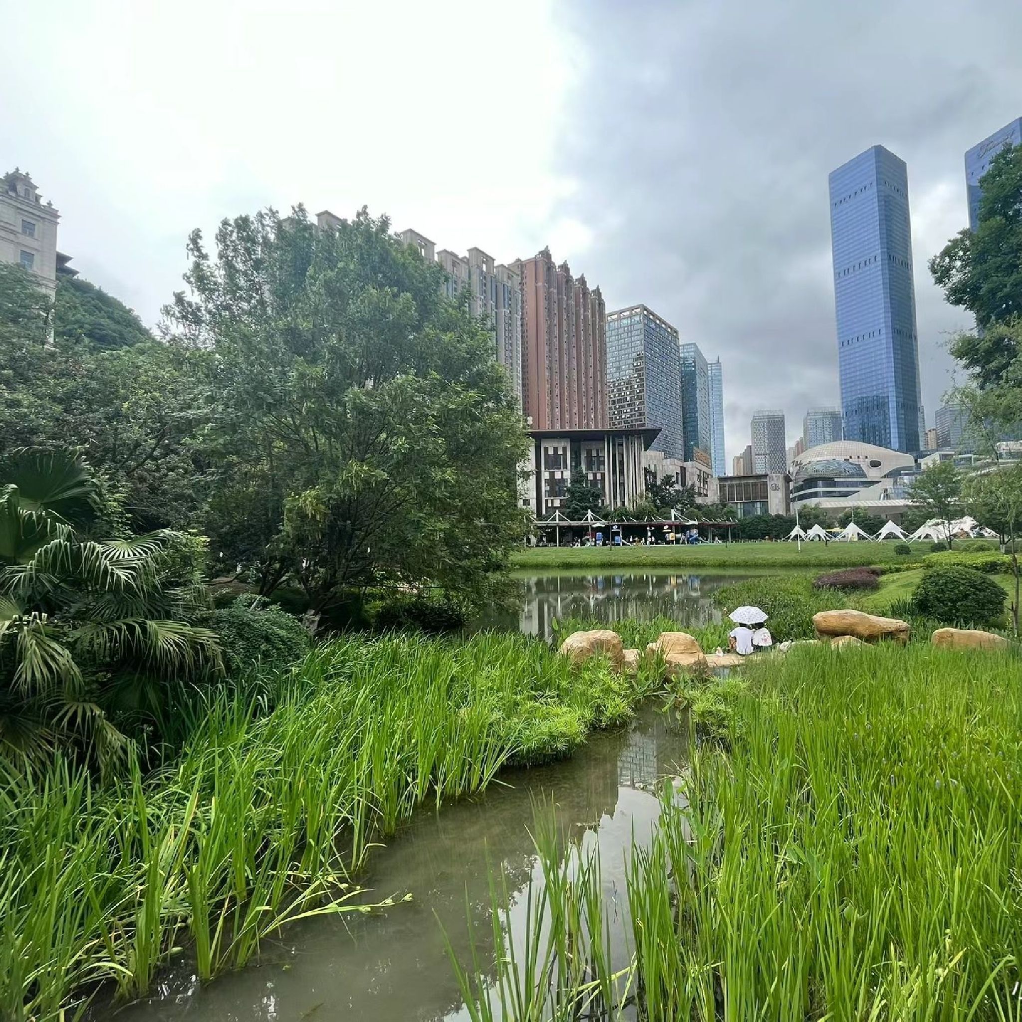 花果园湿地公园旅行图片 3
