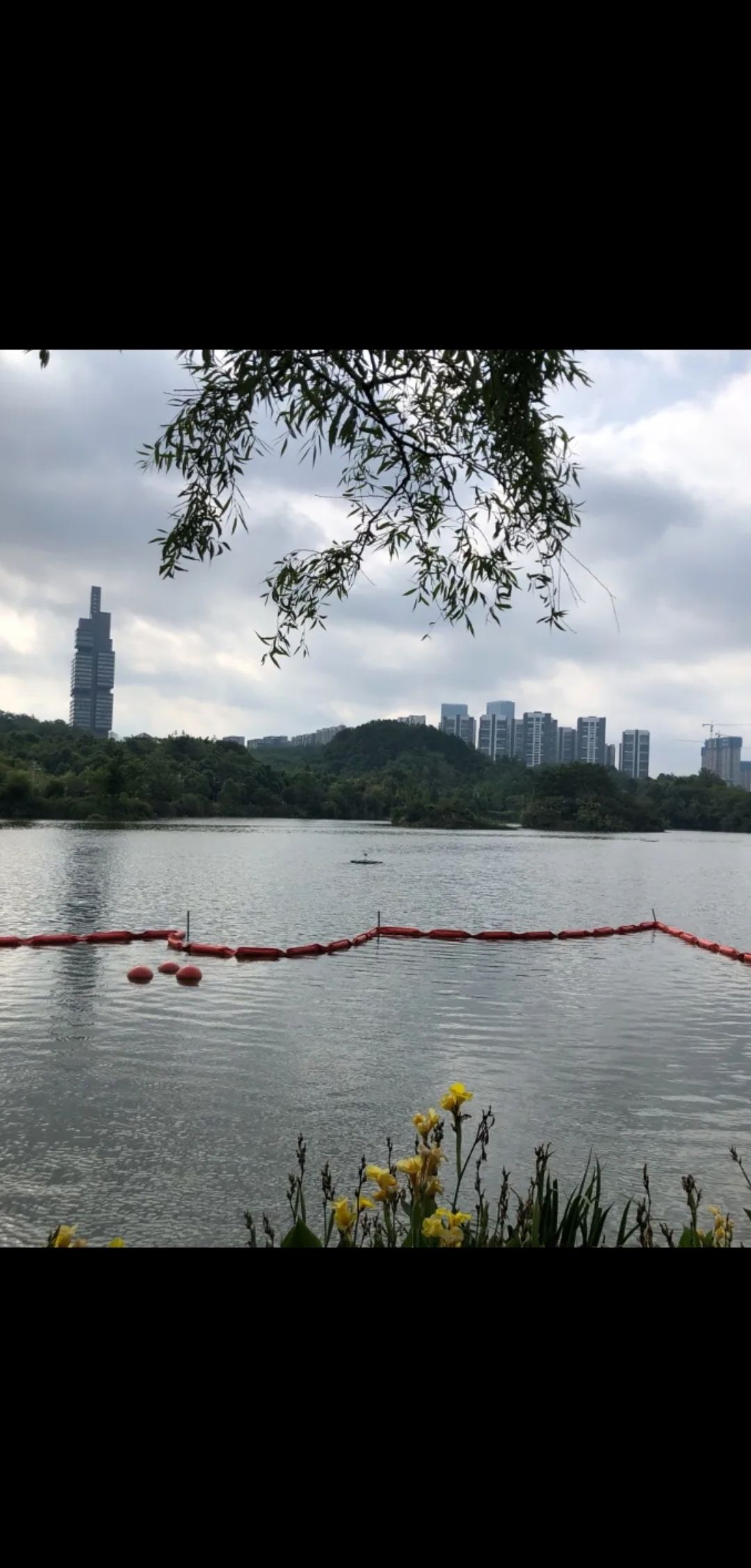 观山湖公园旅行图片 1