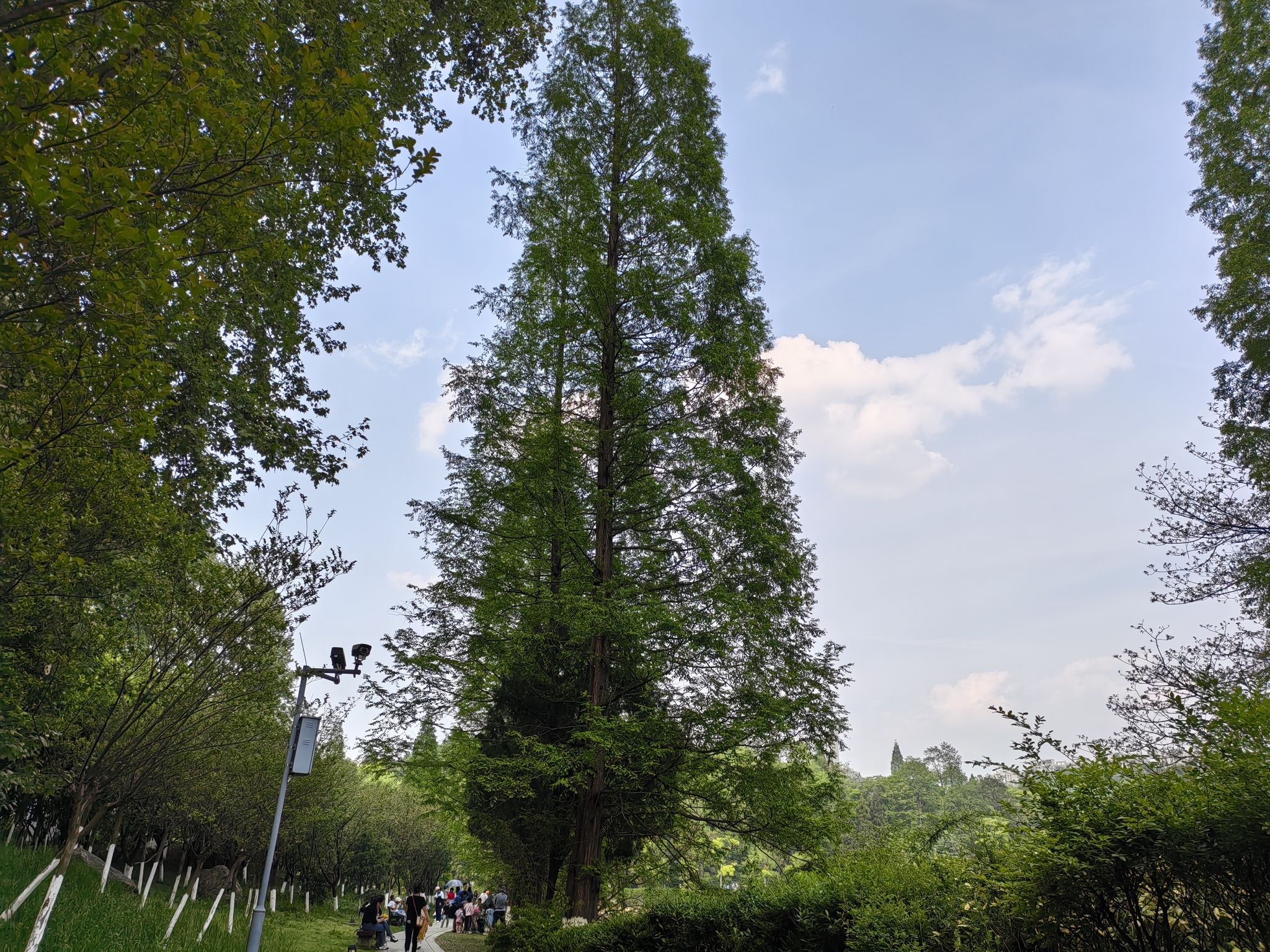 观山湖公园旅行图片 3