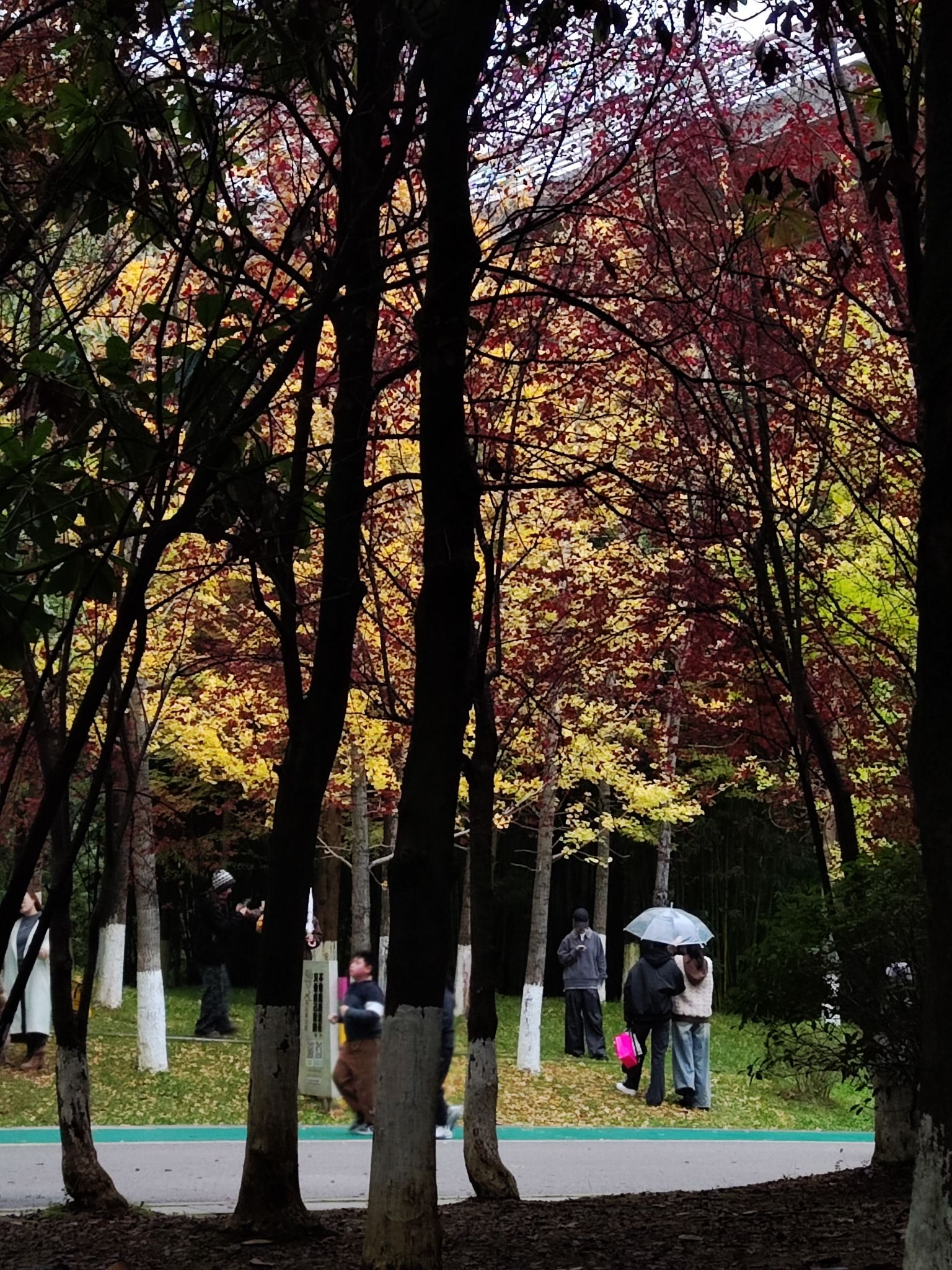 观山湖公园旅行图片 3
