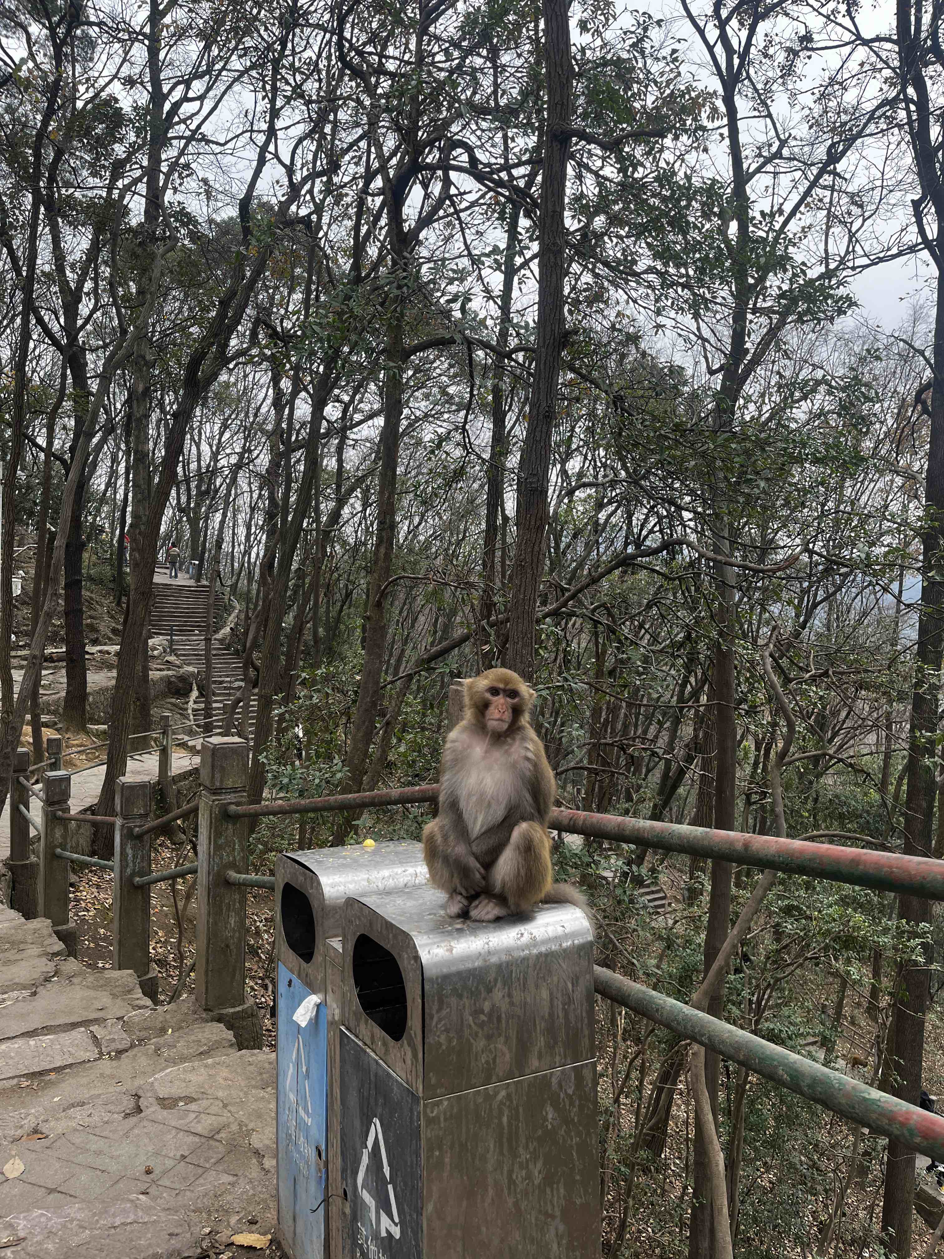 黔灵山公园旅行图片 3