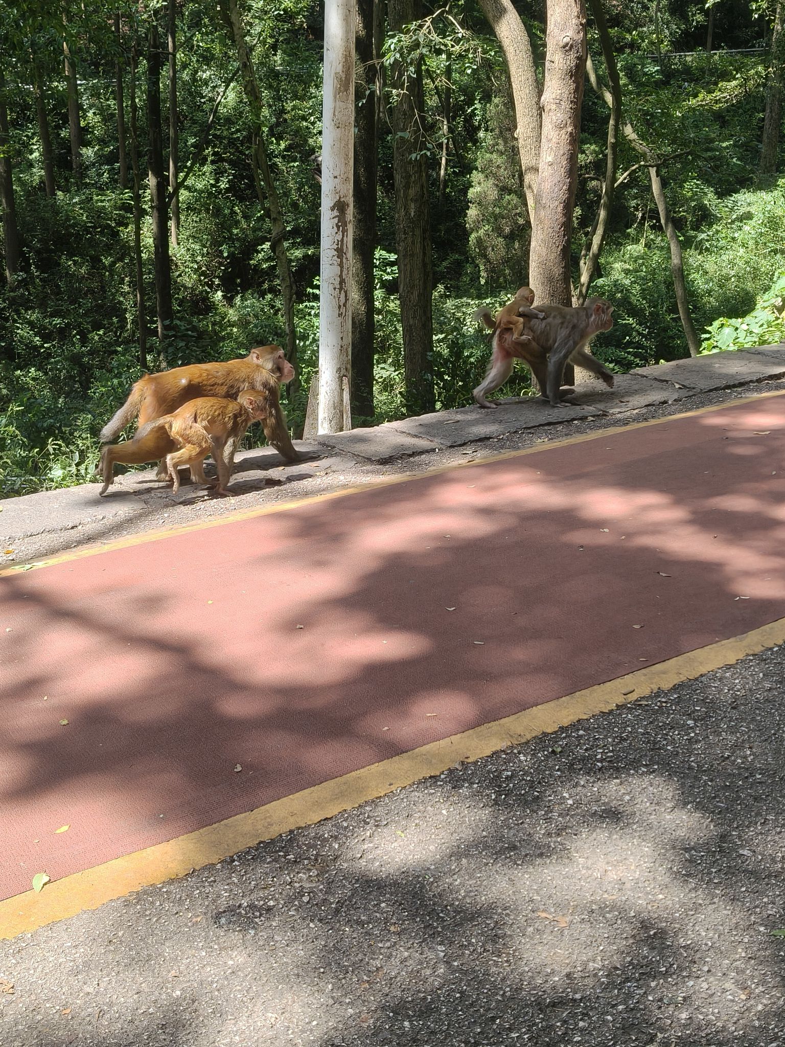 黔灵山公园旅行图片 3