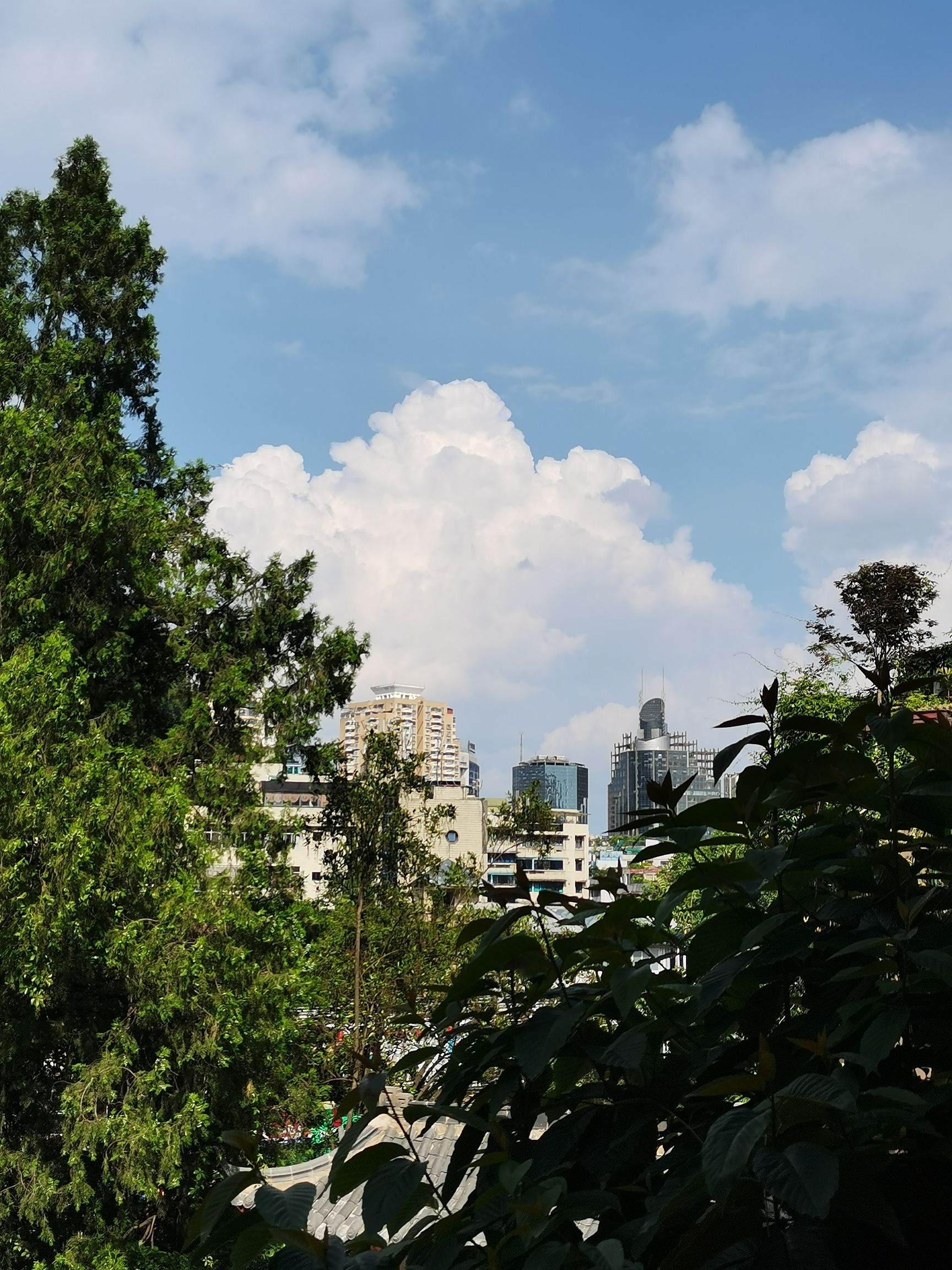黔灵山公园旅行图片 2