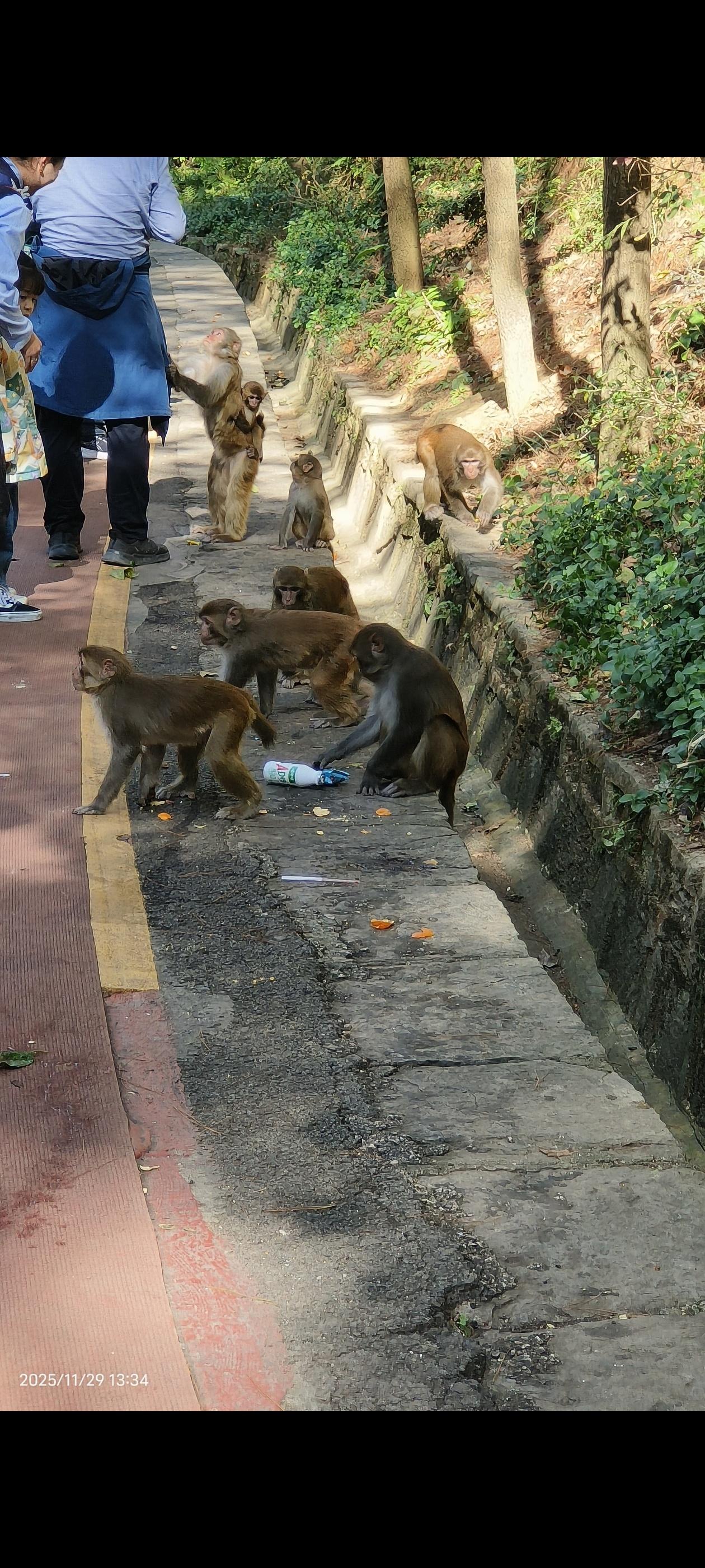 黔灵山公园旅行图片 2