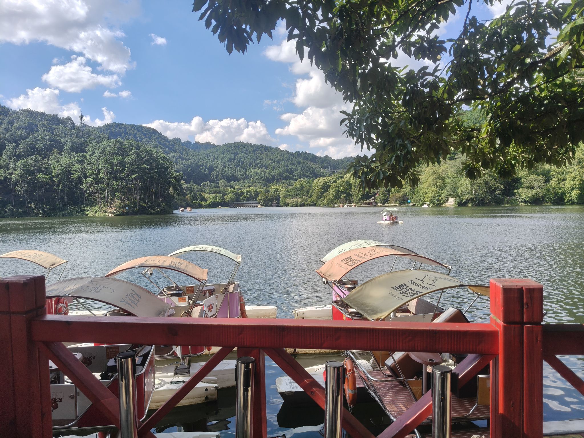 黔灵山公园旅行图片 2