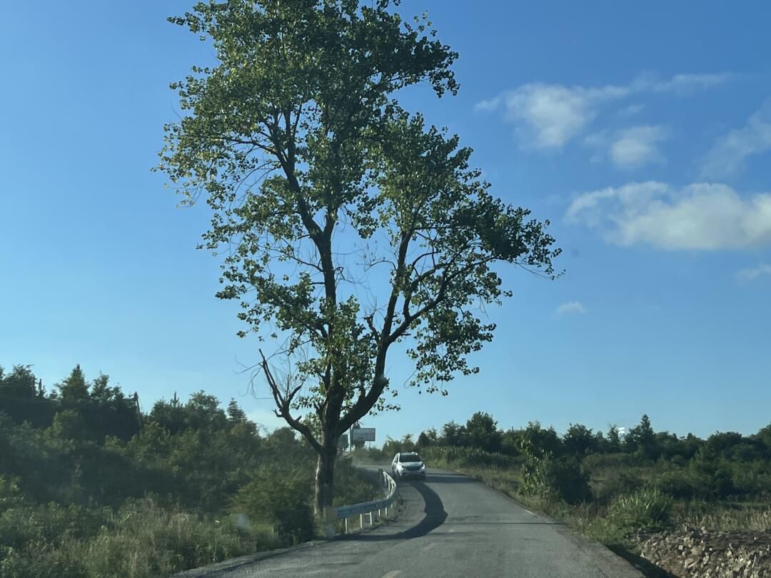 高坡云顶苗寨旅行图片 2
