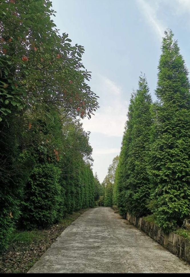 绿之春科普生态植物园旅行图片 1