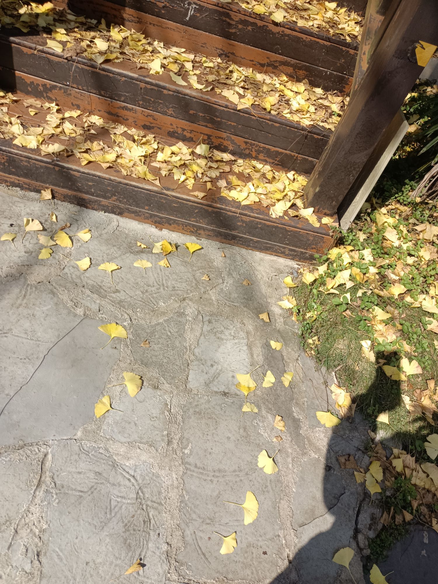 白马峪温泉康养度假区旅行图片 1