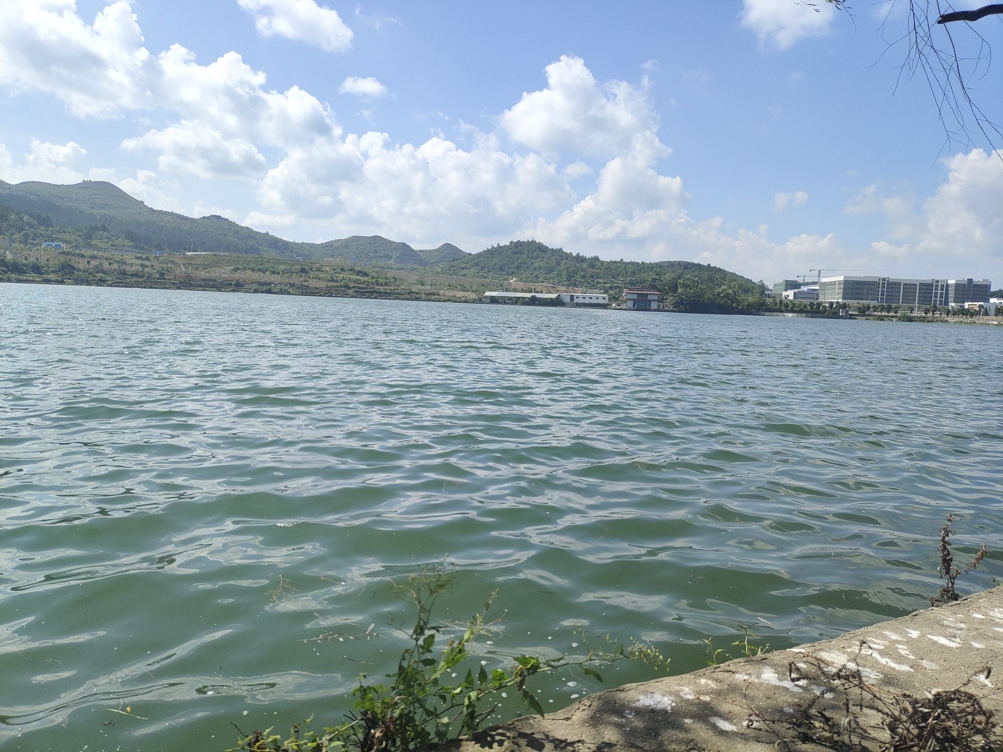 碧翠湖旅行图片 1