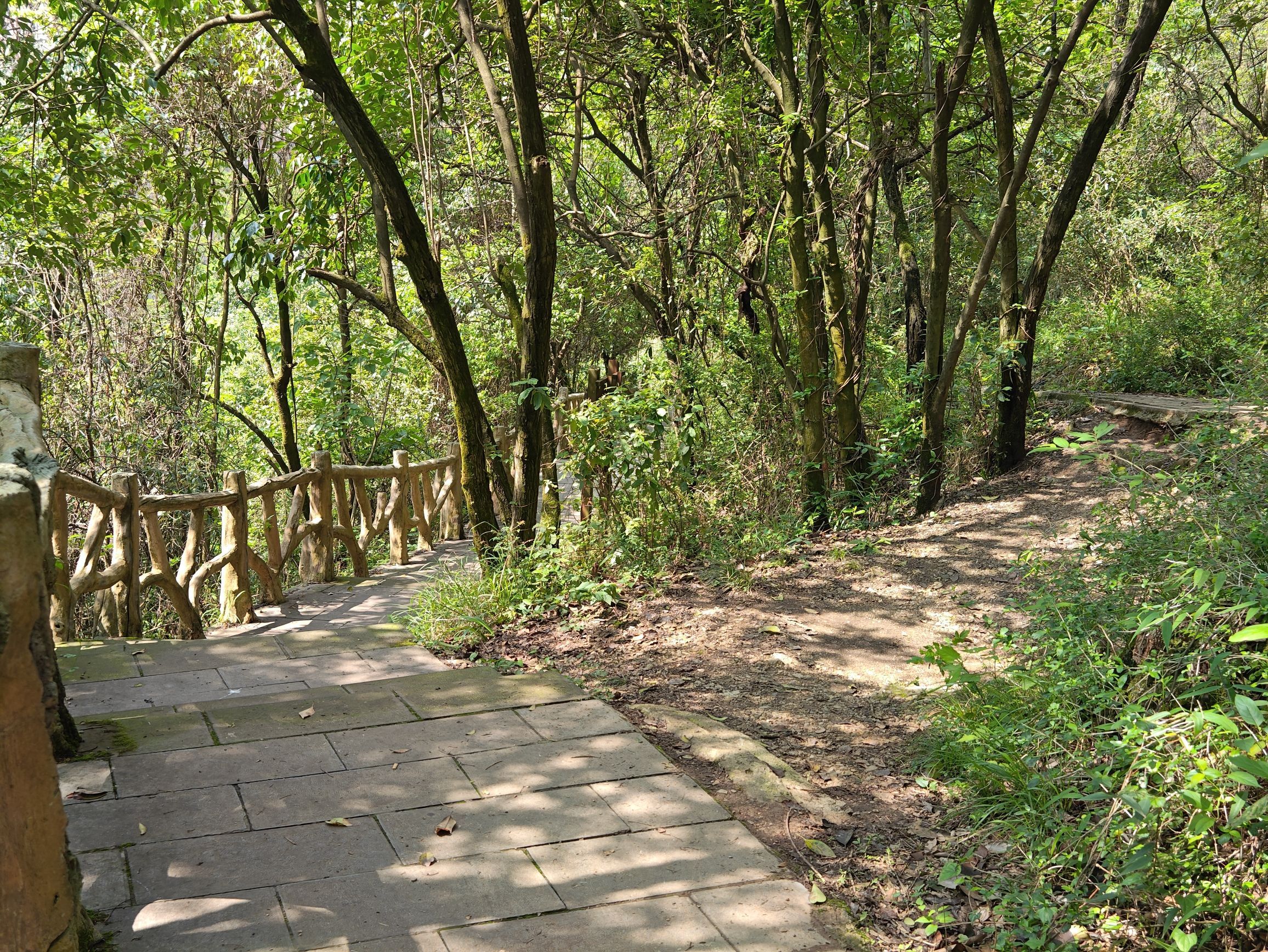 云贵山山头公园旅行图片 1
