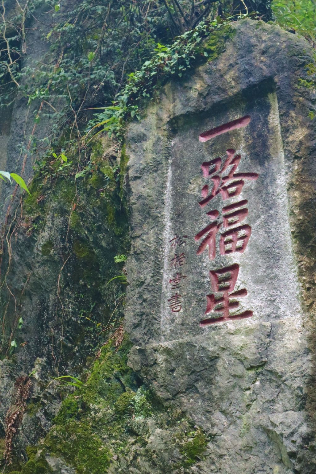 东山公园旅行图片 1