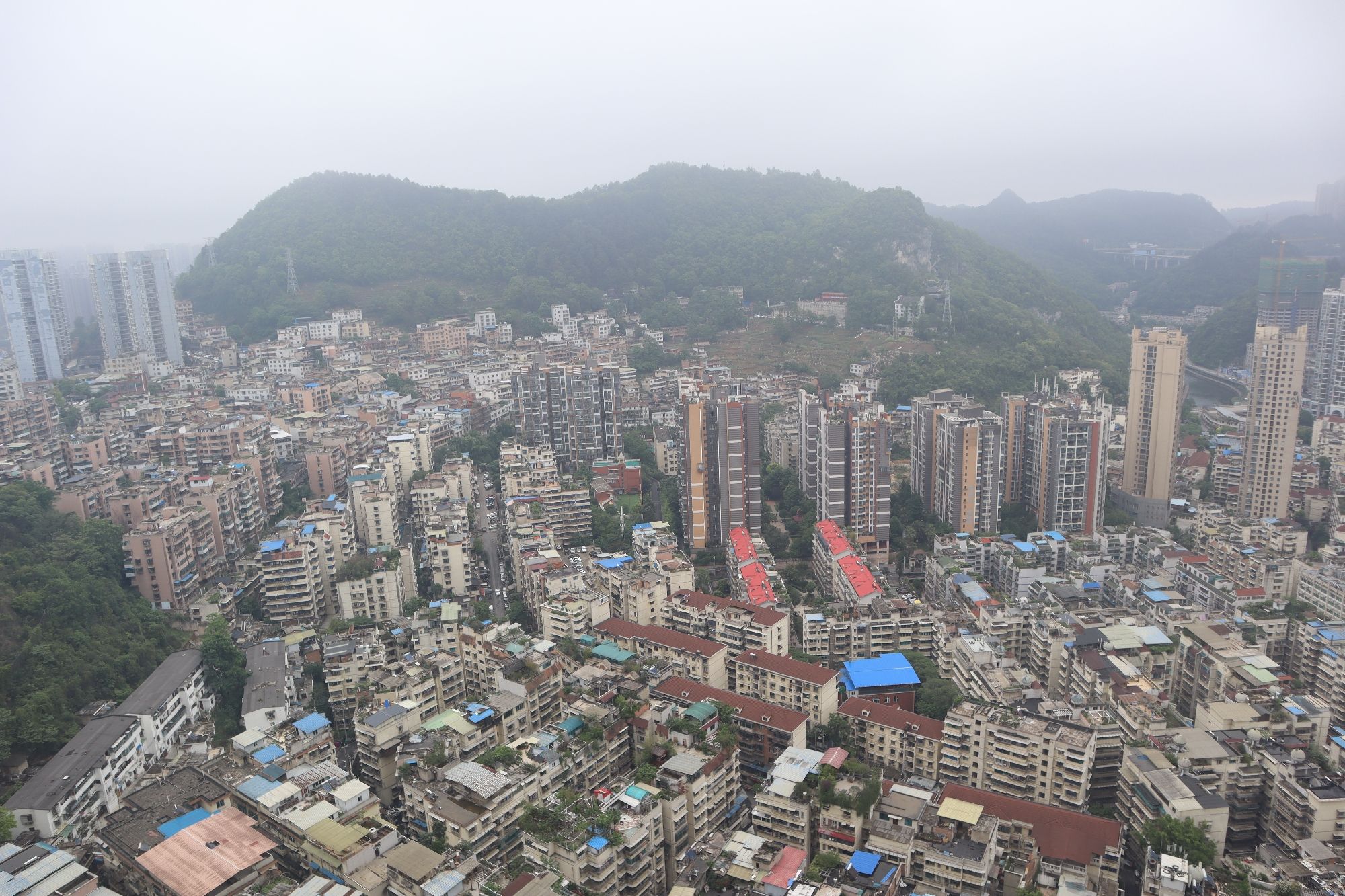 东山公园旅行图片 2