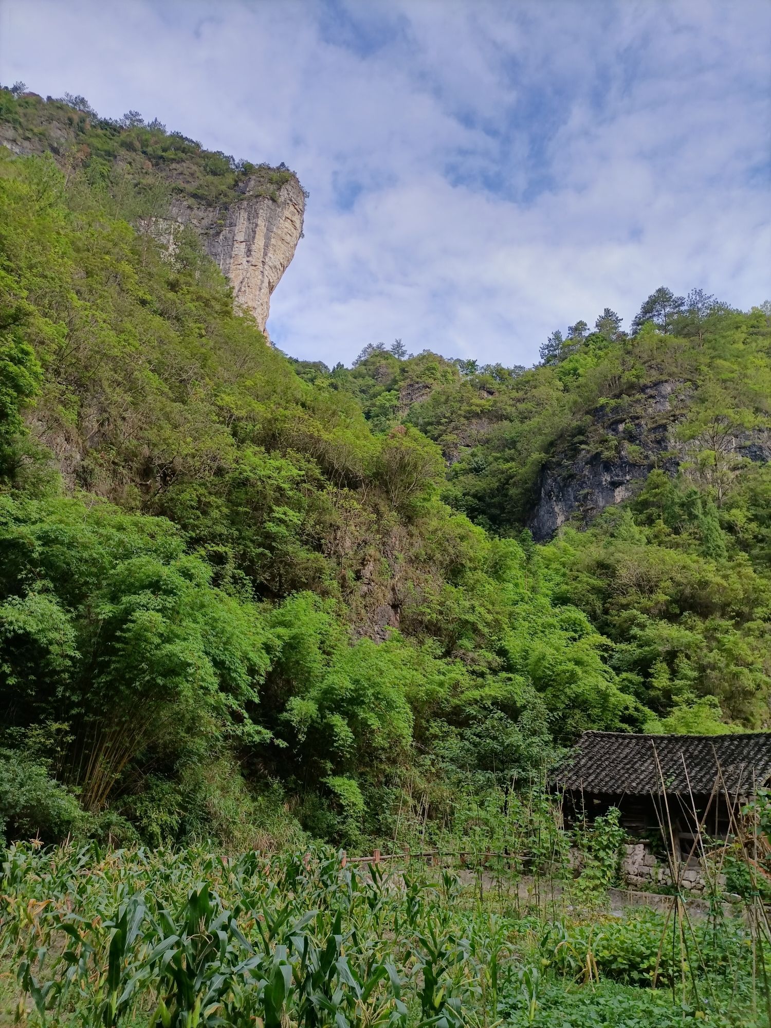 香纸沟旅行图片 2