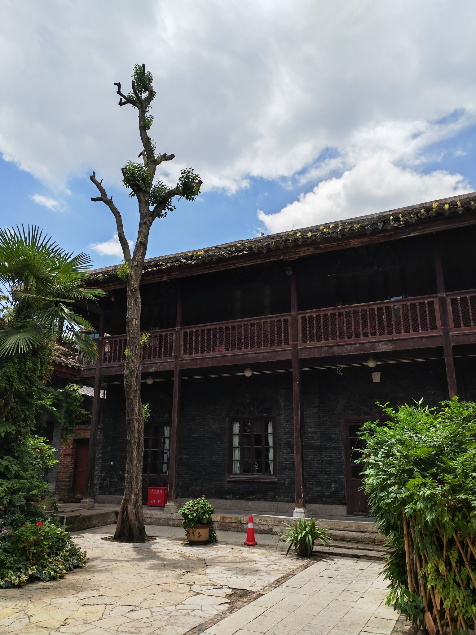大觉精舍旅行图片 2