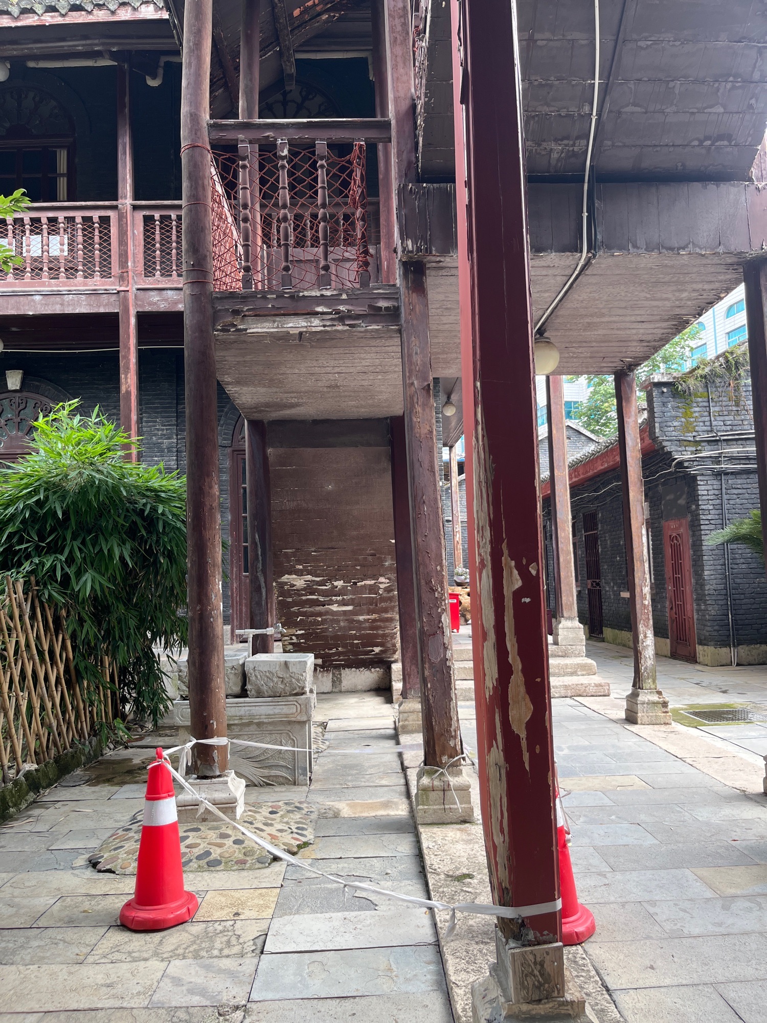 大觉精舍旅行图片 1