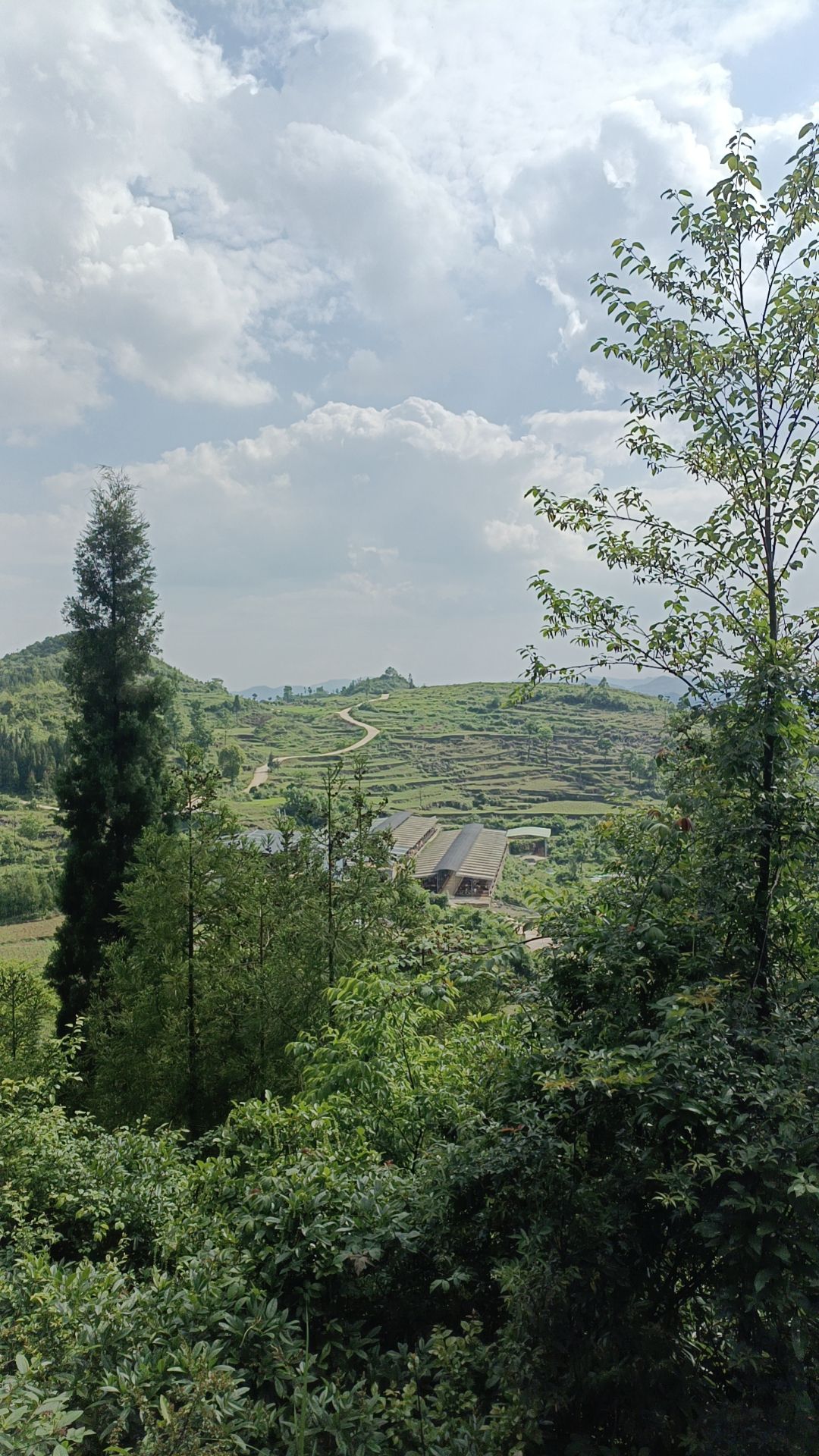 人民广场旅行图片 2