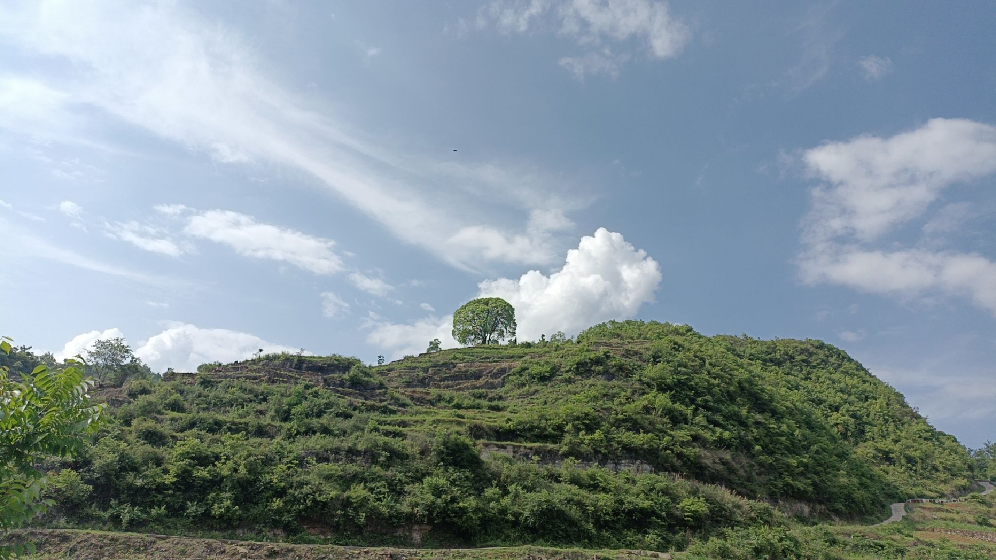 人民广场旅行图片 1