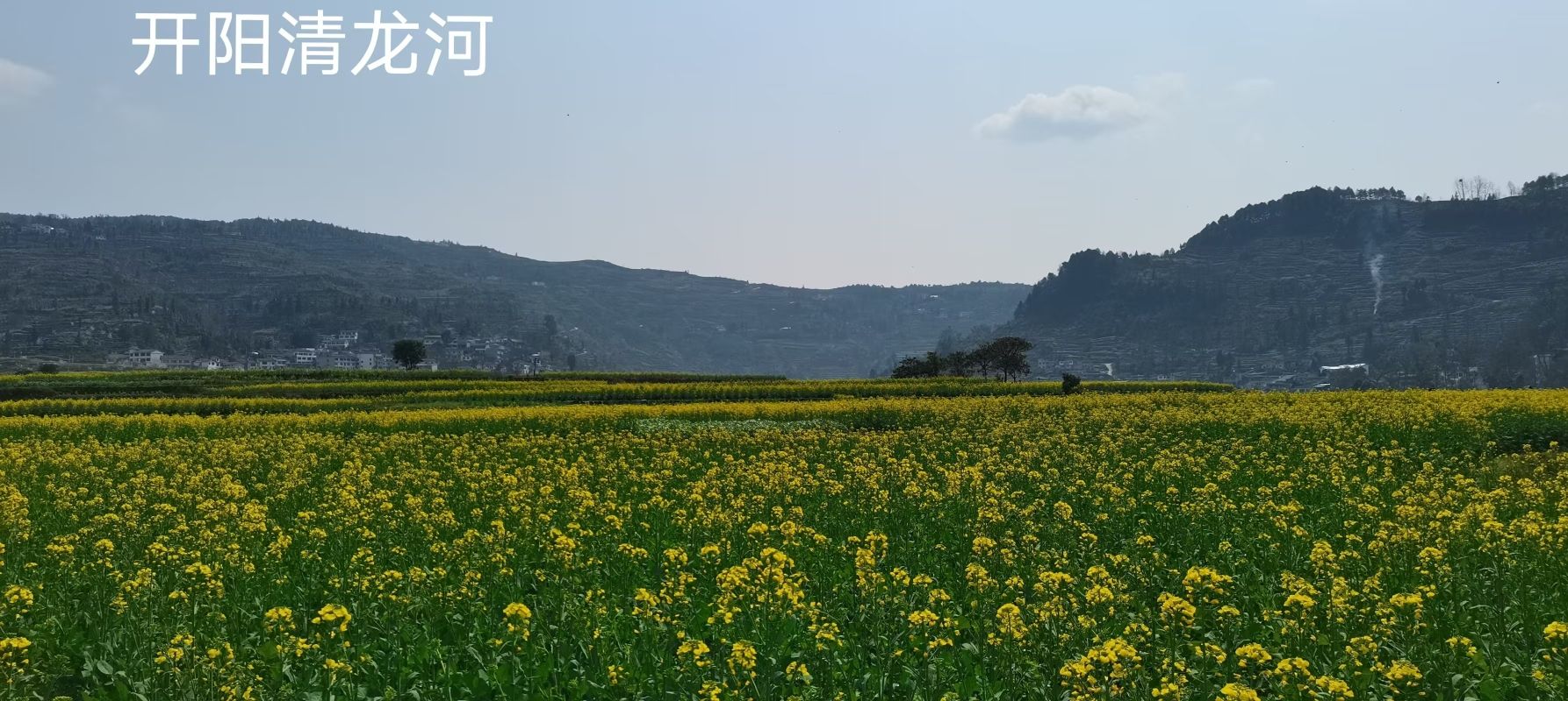 清龙河景区旅行图片 1