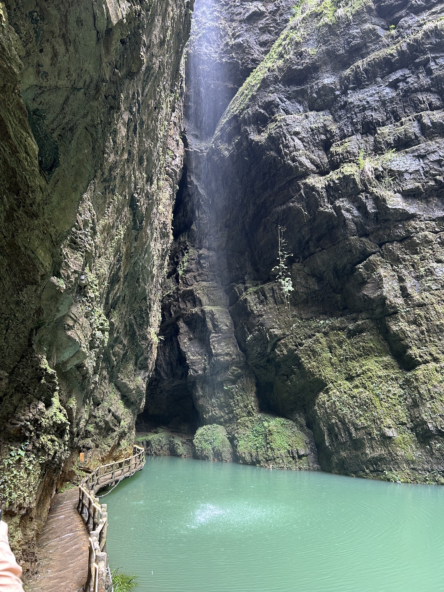猴耳天坑旅行图片 1