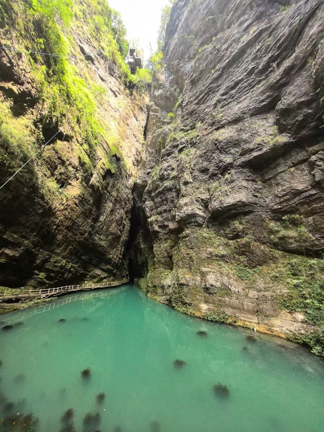 猴耳天坑旅行图片 1