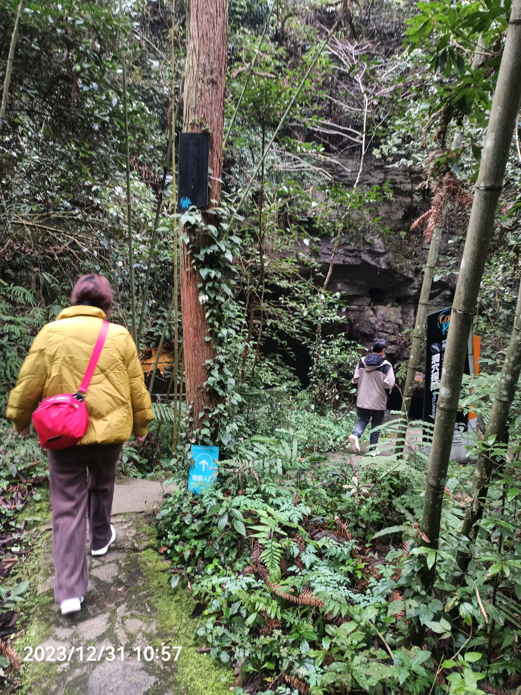猴耳天坑旅行图片 1