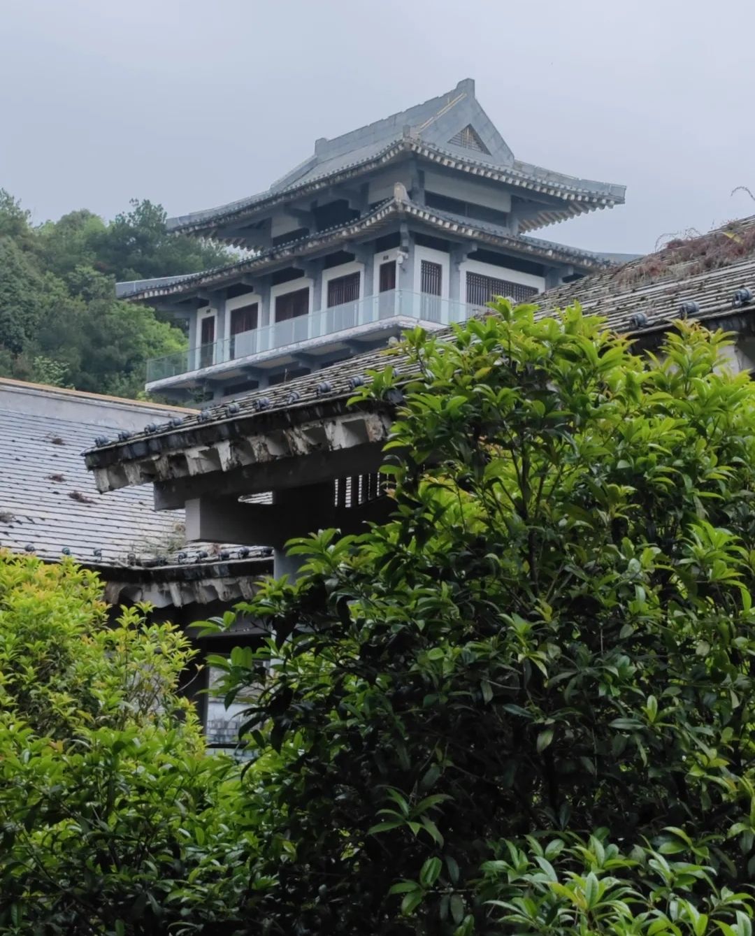 孔学堂旅行图片 1