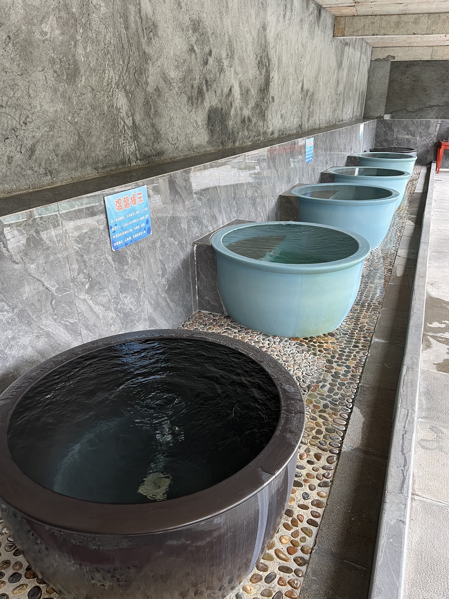 枫香温泉度假中心旅行图片 3