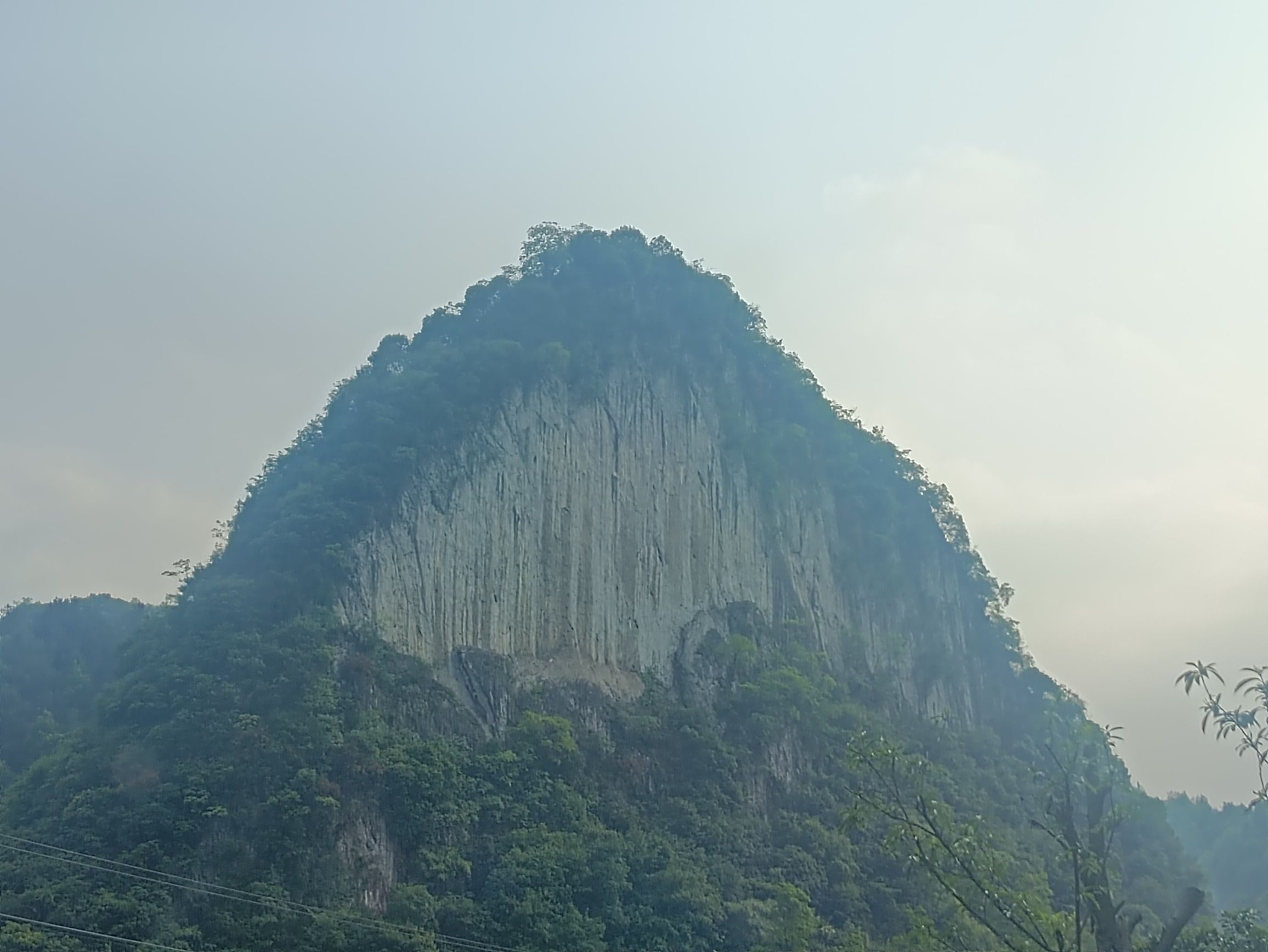 枫香温泉度假中心旅行图片 1