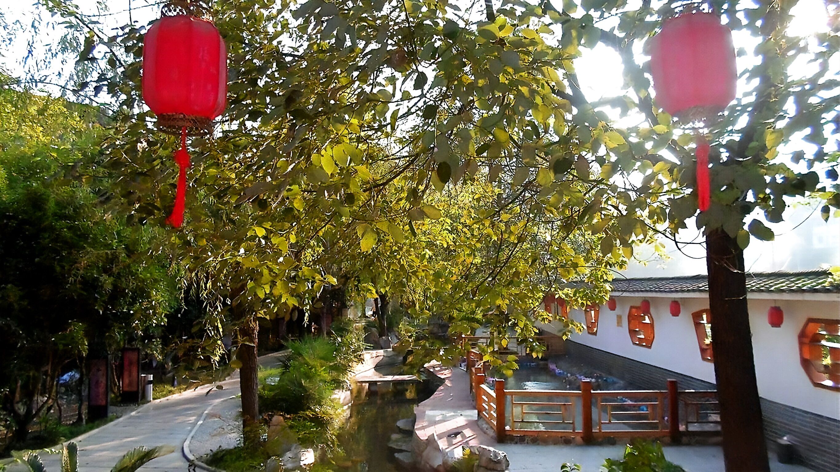 枫香温泉度假中心旅行图片 3
