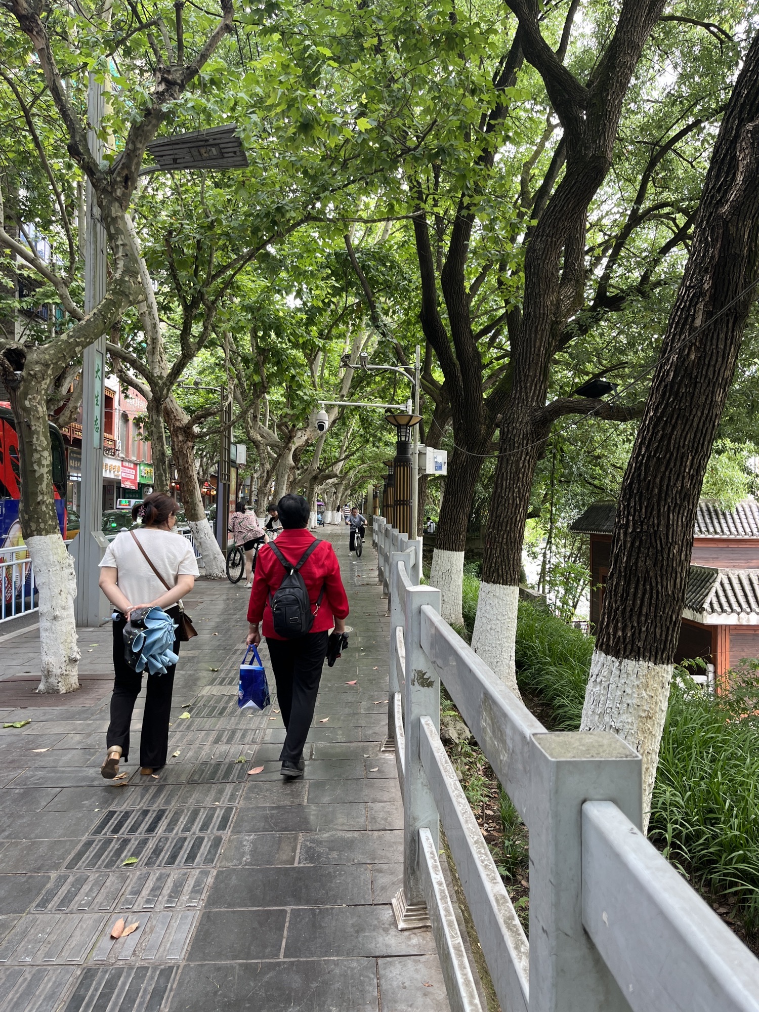 遵义纪念公园旅行图片 2