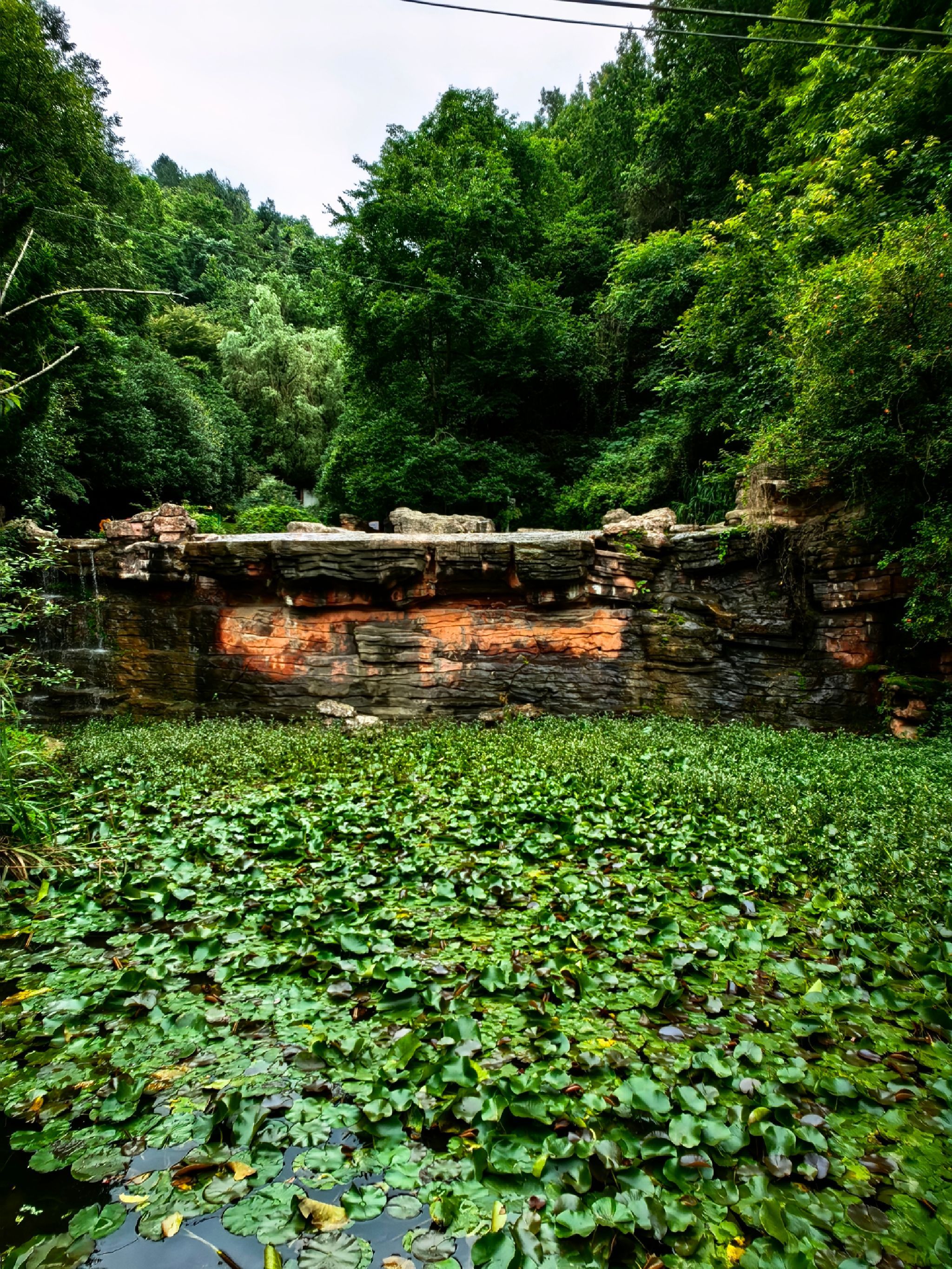 南岭公园旅行图片 2